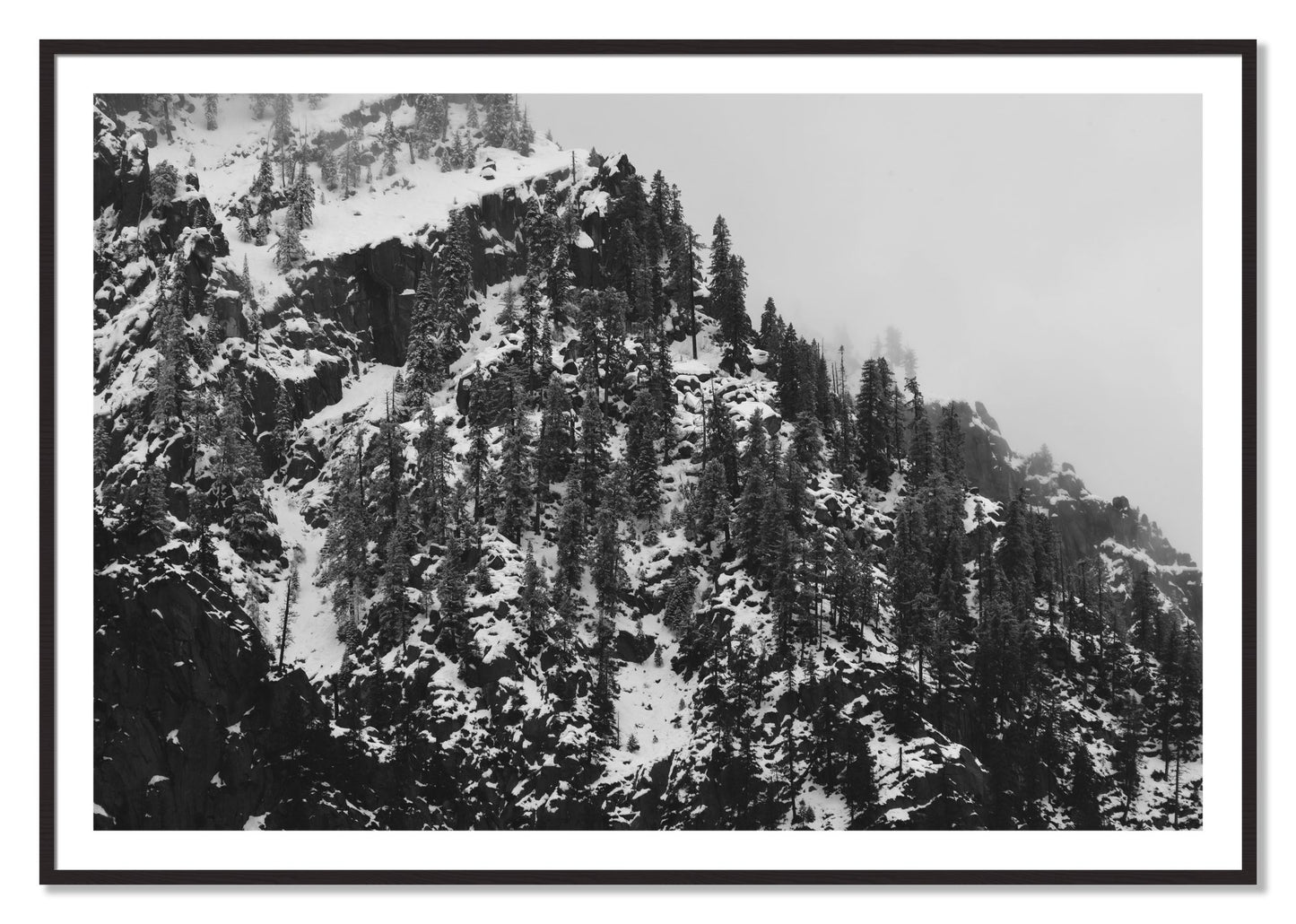 Framed photograph of Ascend by Dylan Ozanich, Black Walnut frame, Borders
