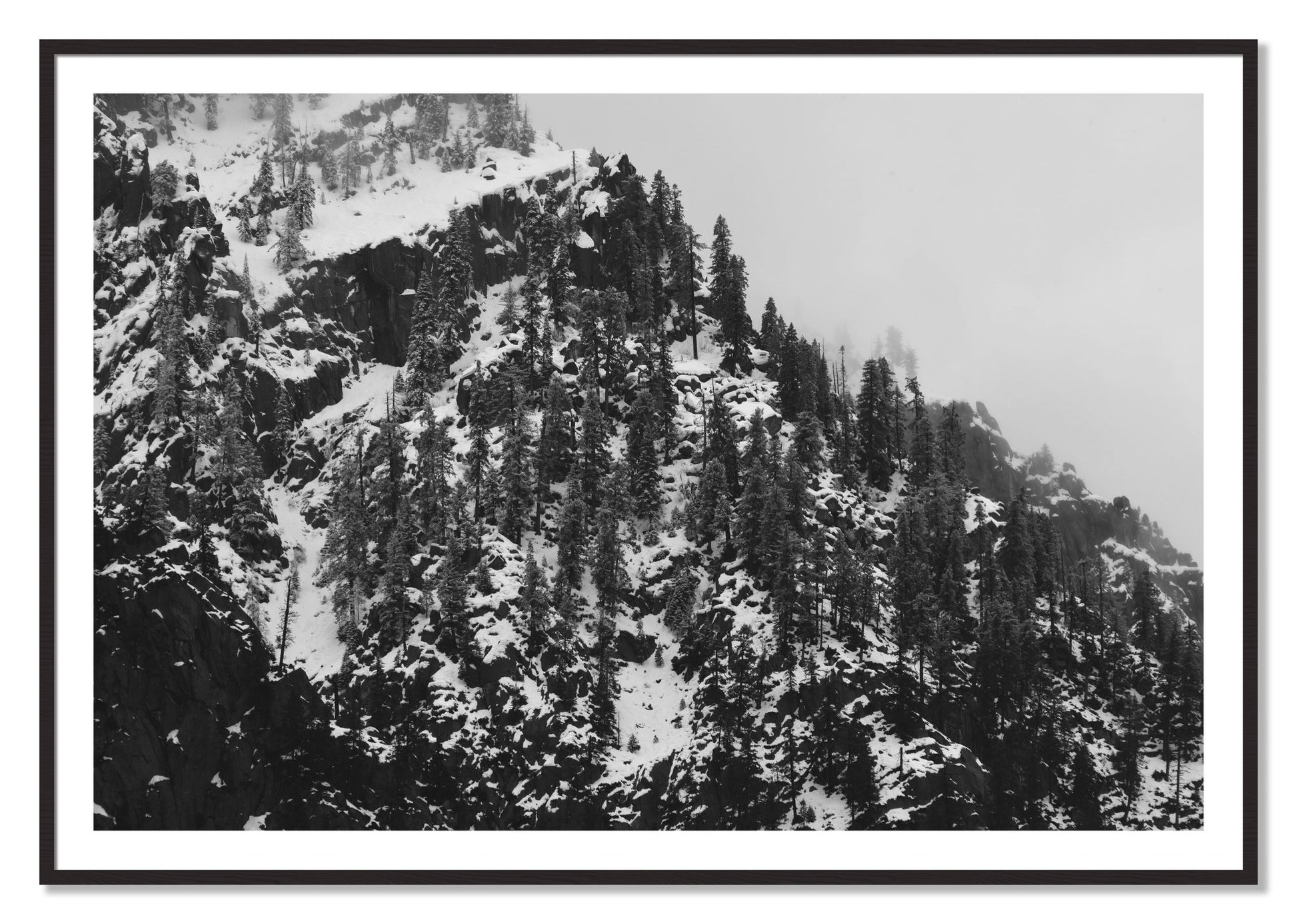 Framed photograph of Ascend by Dylan Ozanich, Black Walnut frame, Borders