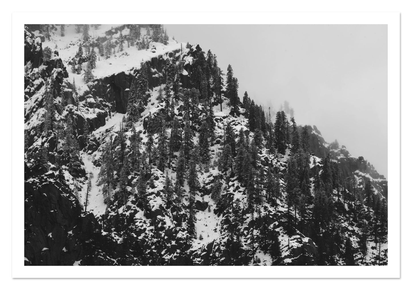 Fine art print of Ascend by Dylan Ozanich, unframed