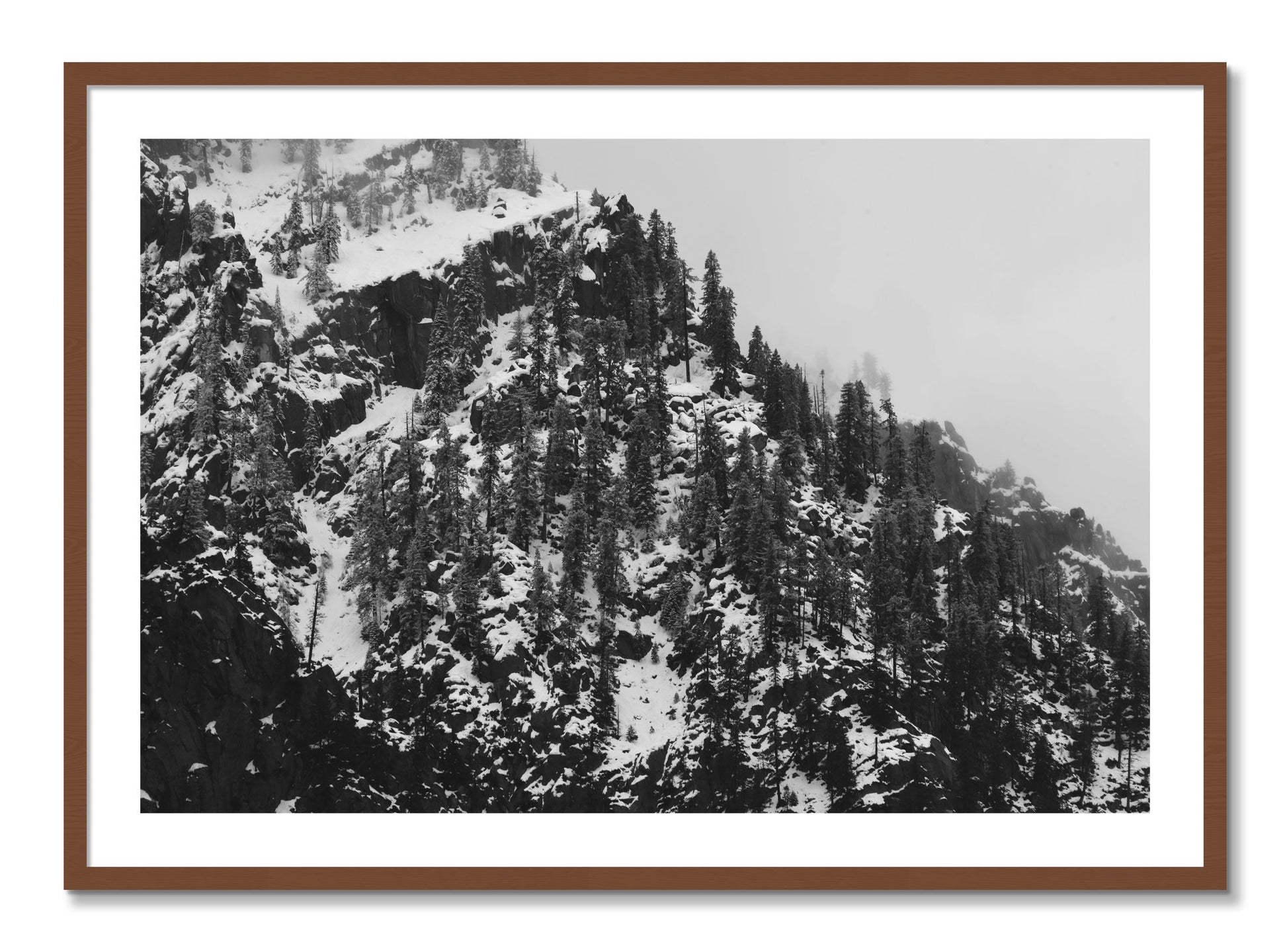 Framed photograph of Ascend by Dylan Ozanich, Walnut frame, Borders