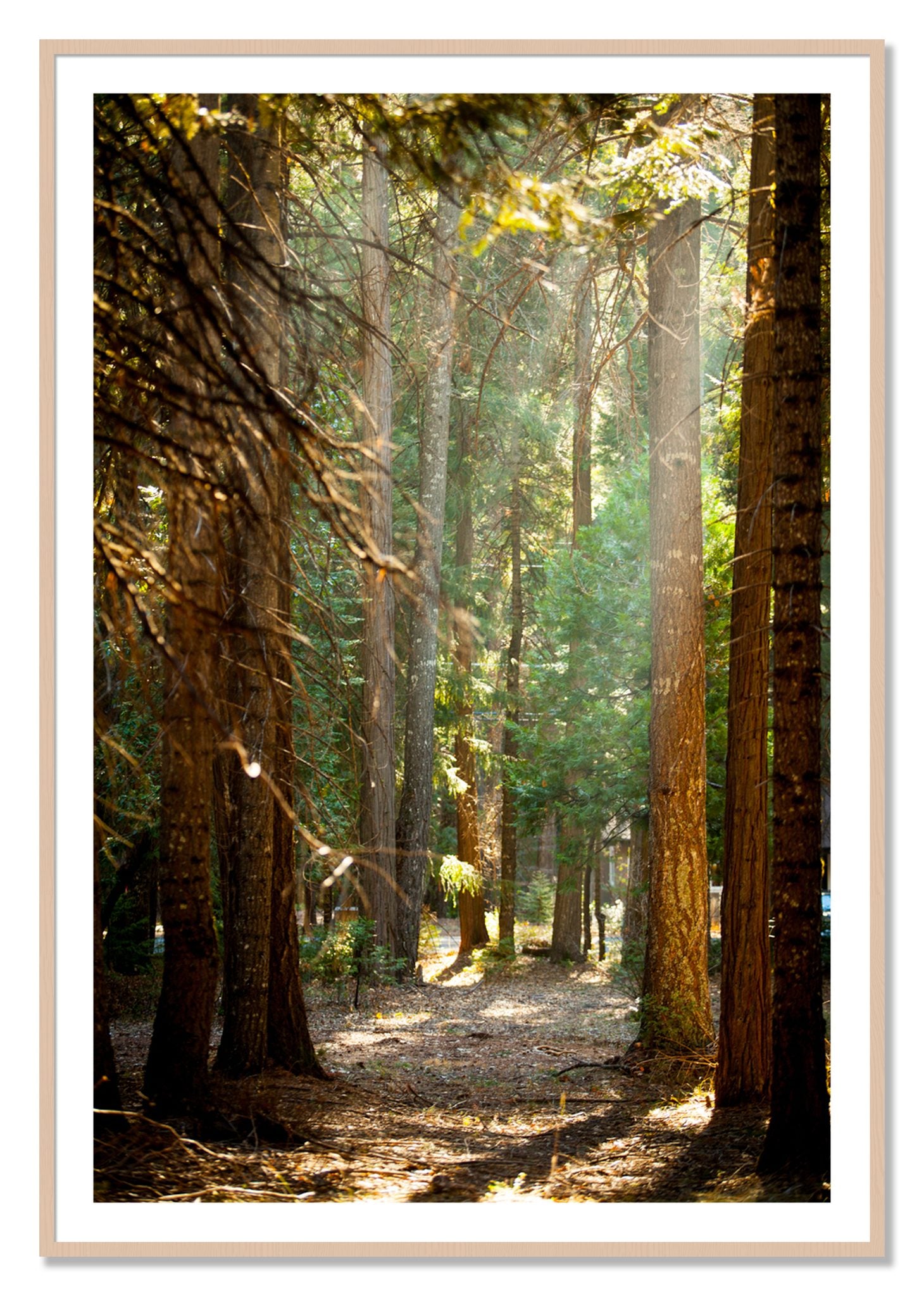 Framed photograph of Autumn by Dylan Ozanich, Maple frame, Borders