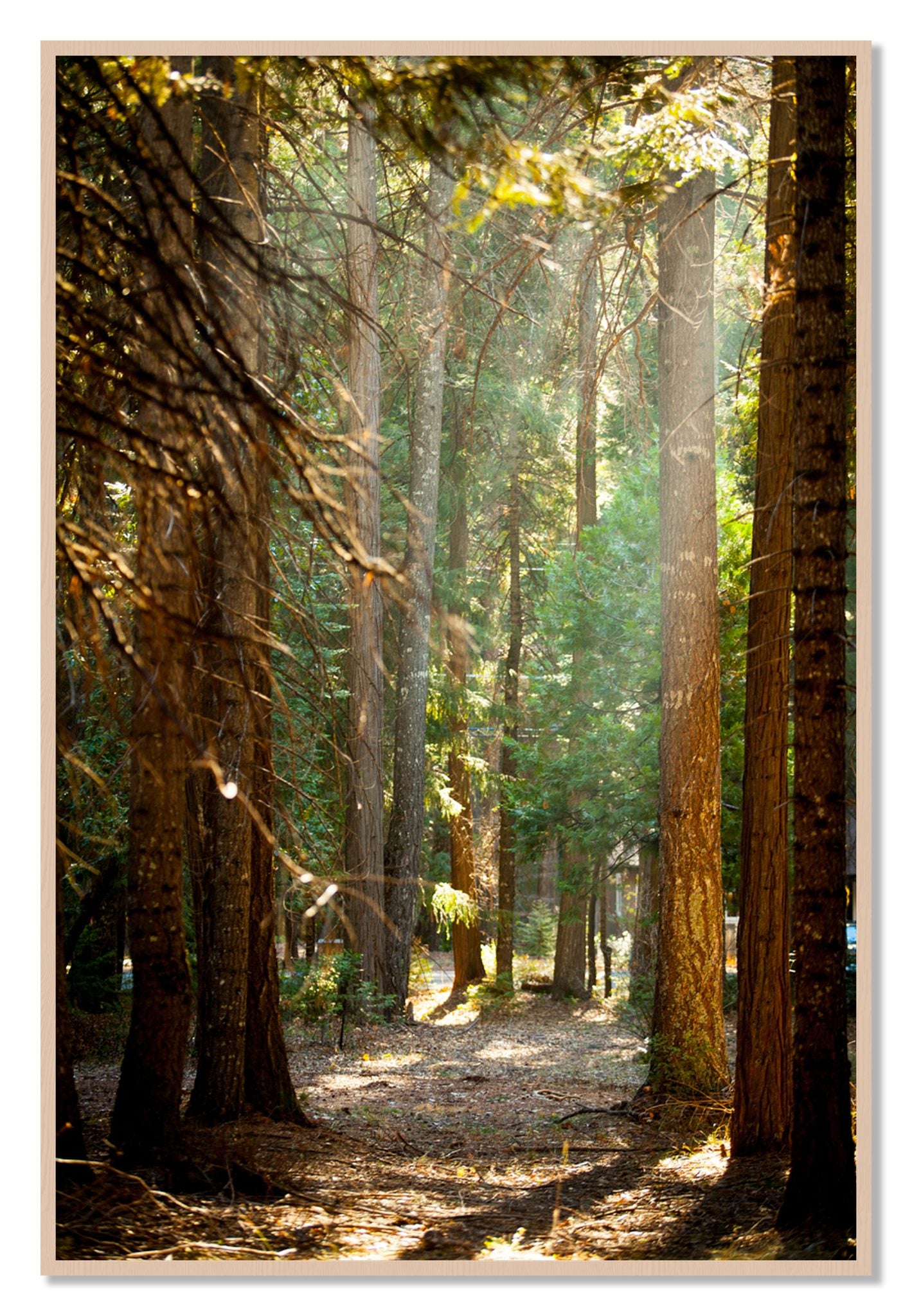 Framed photograph of Autumn by Dylan Ozanich, Maple frame, Full Bleed