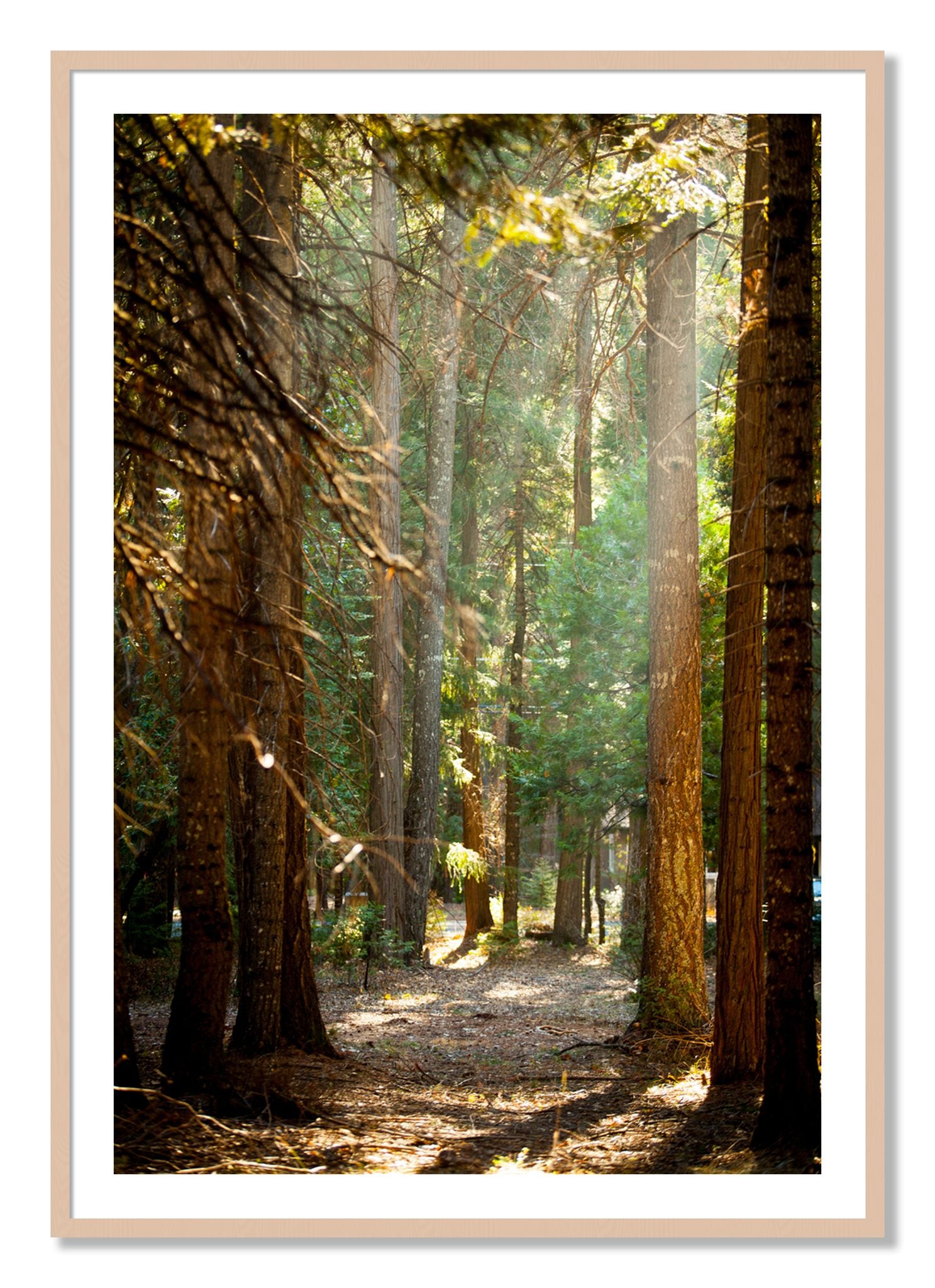 Framed photograph of Autumn by Dylan Ozanich, Maple frame, Borders