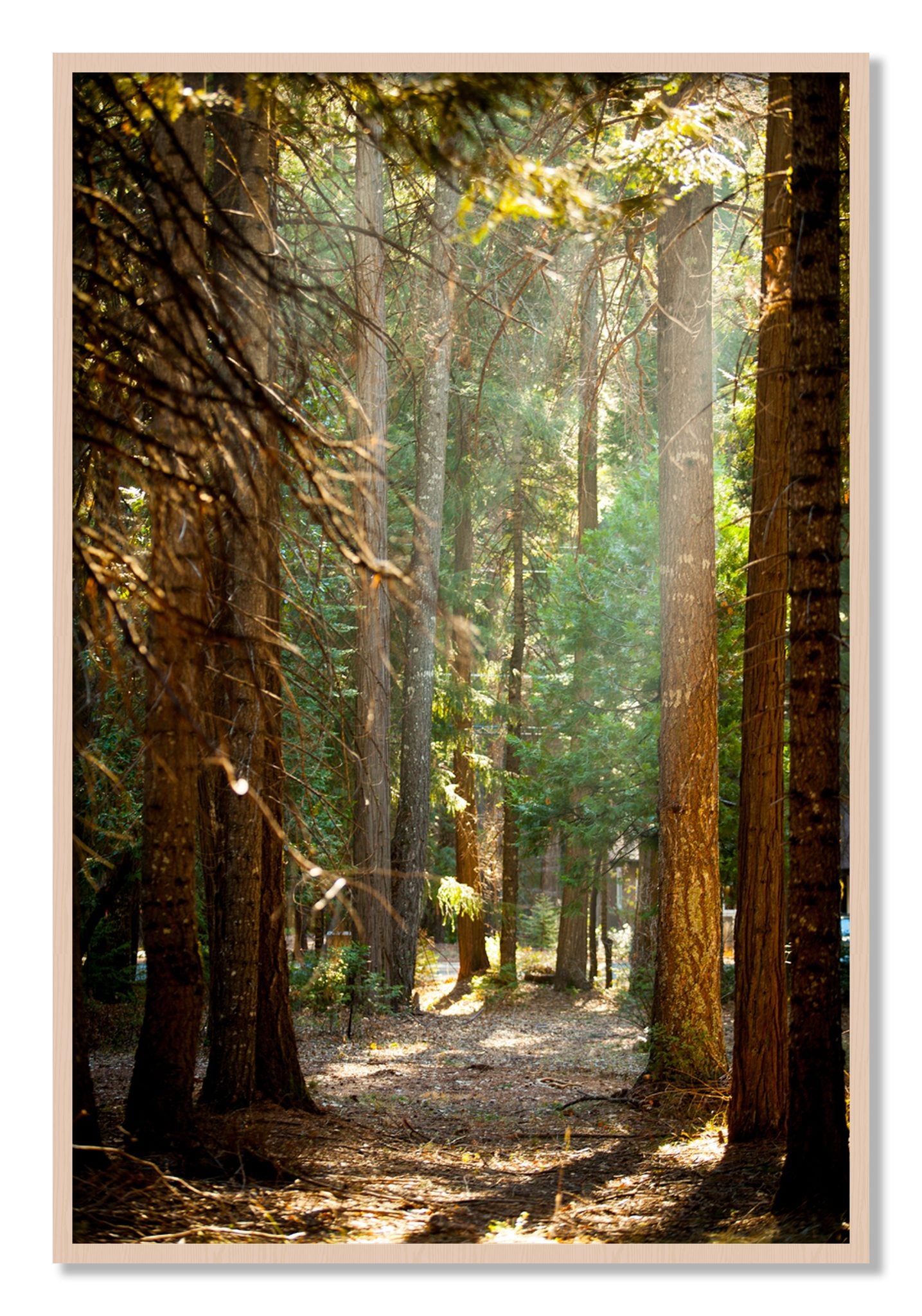 Framed photograph of Autumn by Dylan Ozanich, Maple frame, Full Bleed