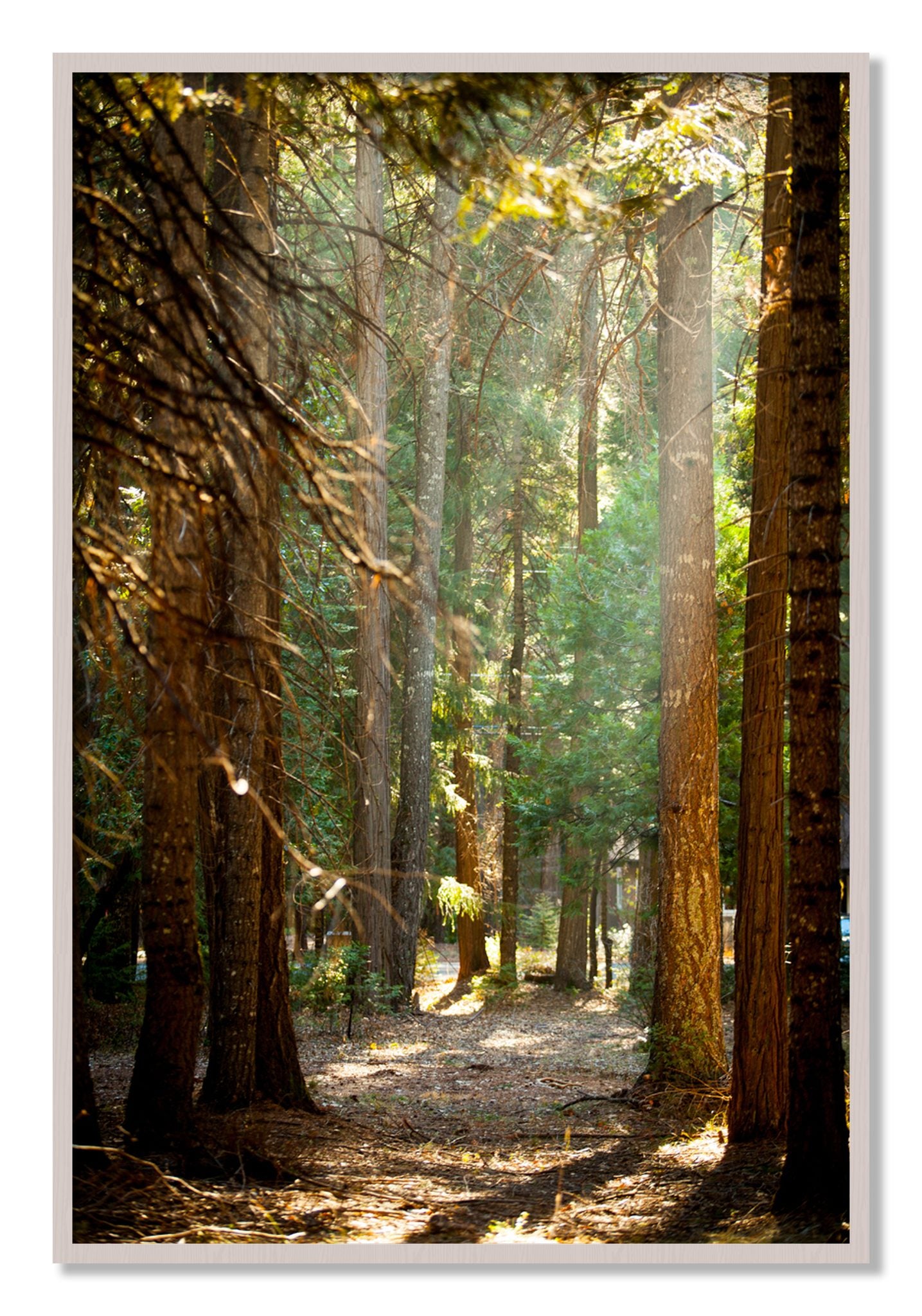 Framed photograph of Autumn by Dylan Ozanich, White Maple frame, Full Bleed