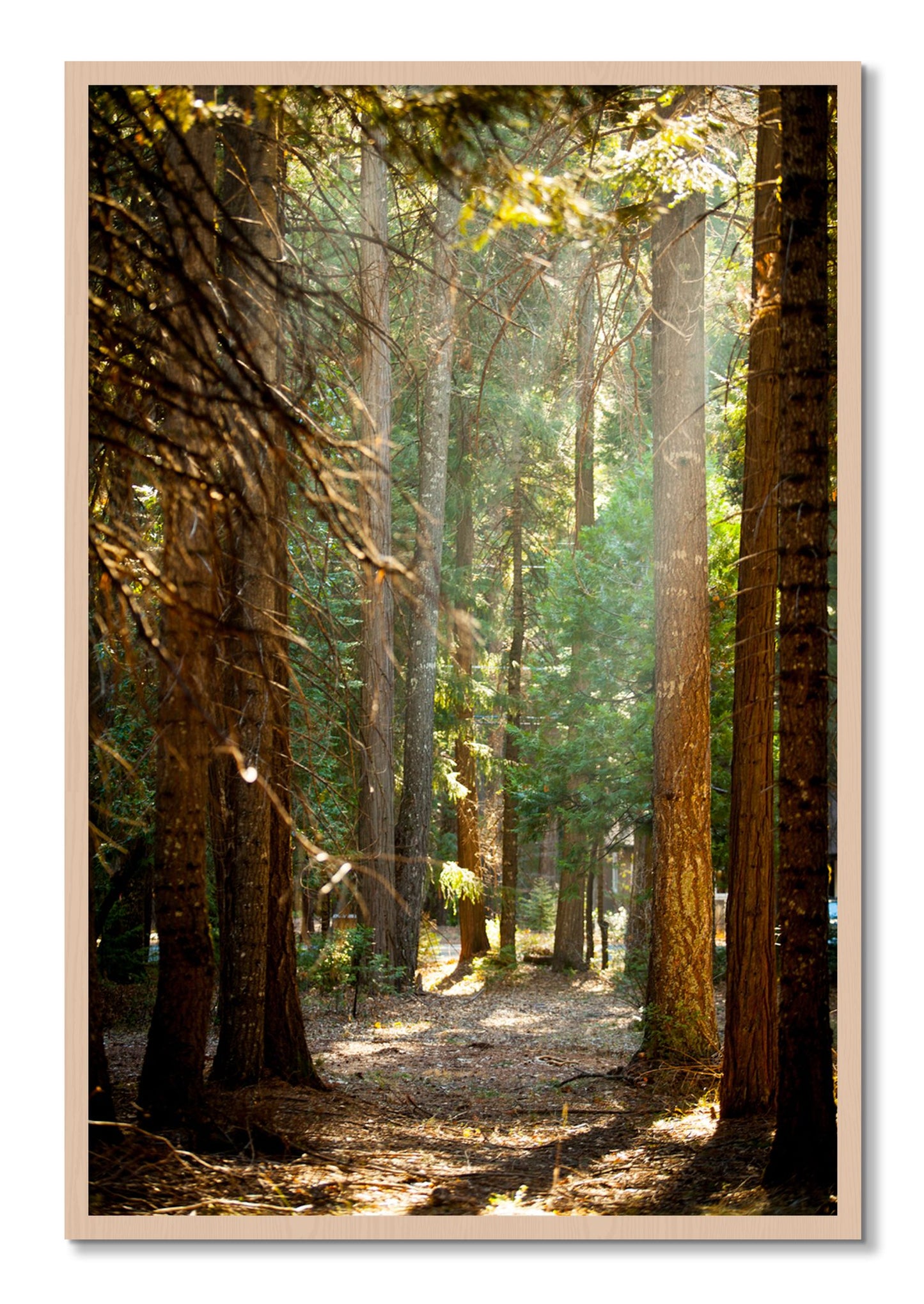 Framed photograph of Autumn by Dylan Ozanich, Maple frame, Full Bleed