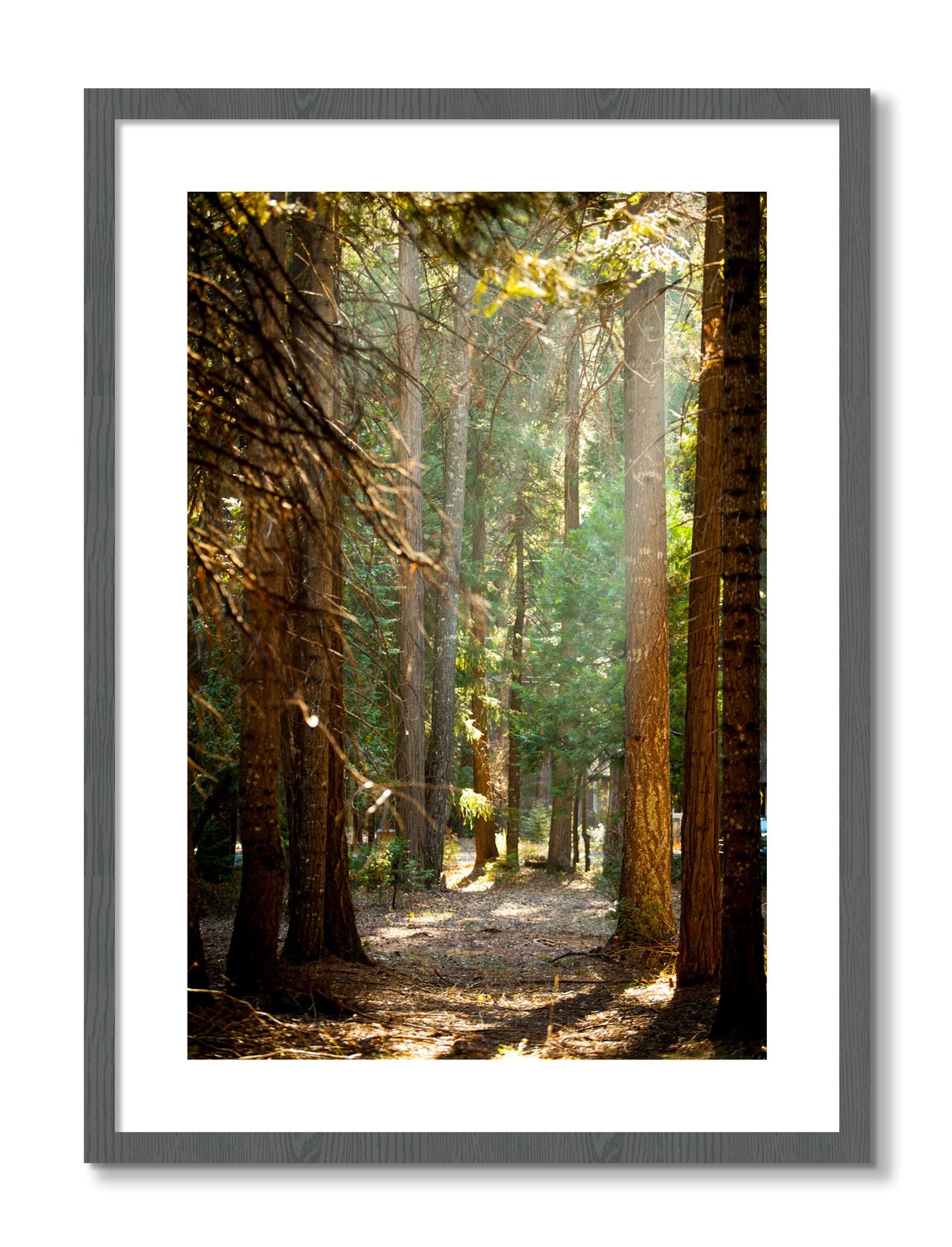 Framed photograph of Autumn by Dylan Ozanich, Grey frame, Borders