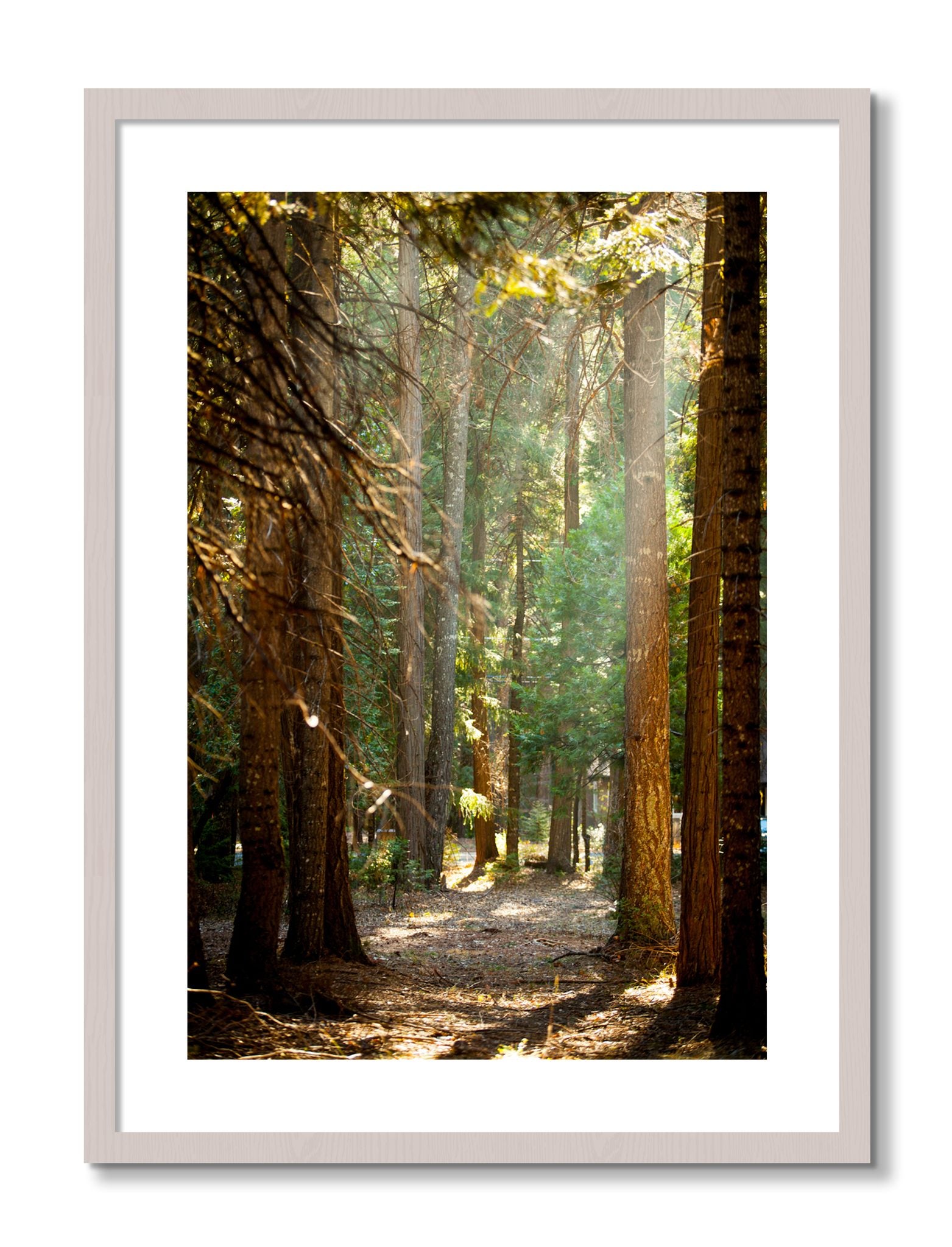 Framed photograph of Autumn by Dylan Ozanich, White Maple frame, Borders