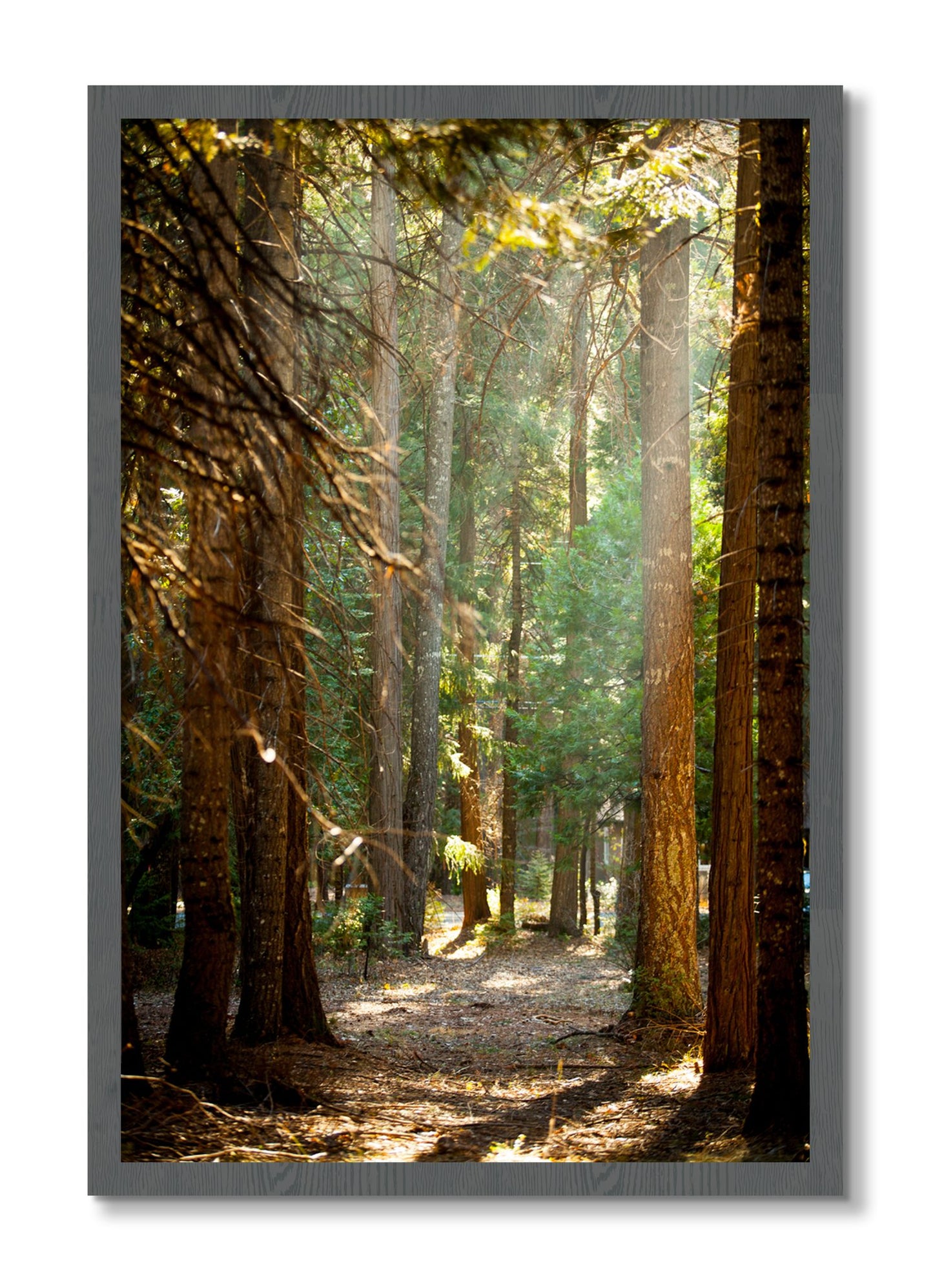 Framed photograph of Autumn by Dylan Ozanich, Grey frame, Full Bleed