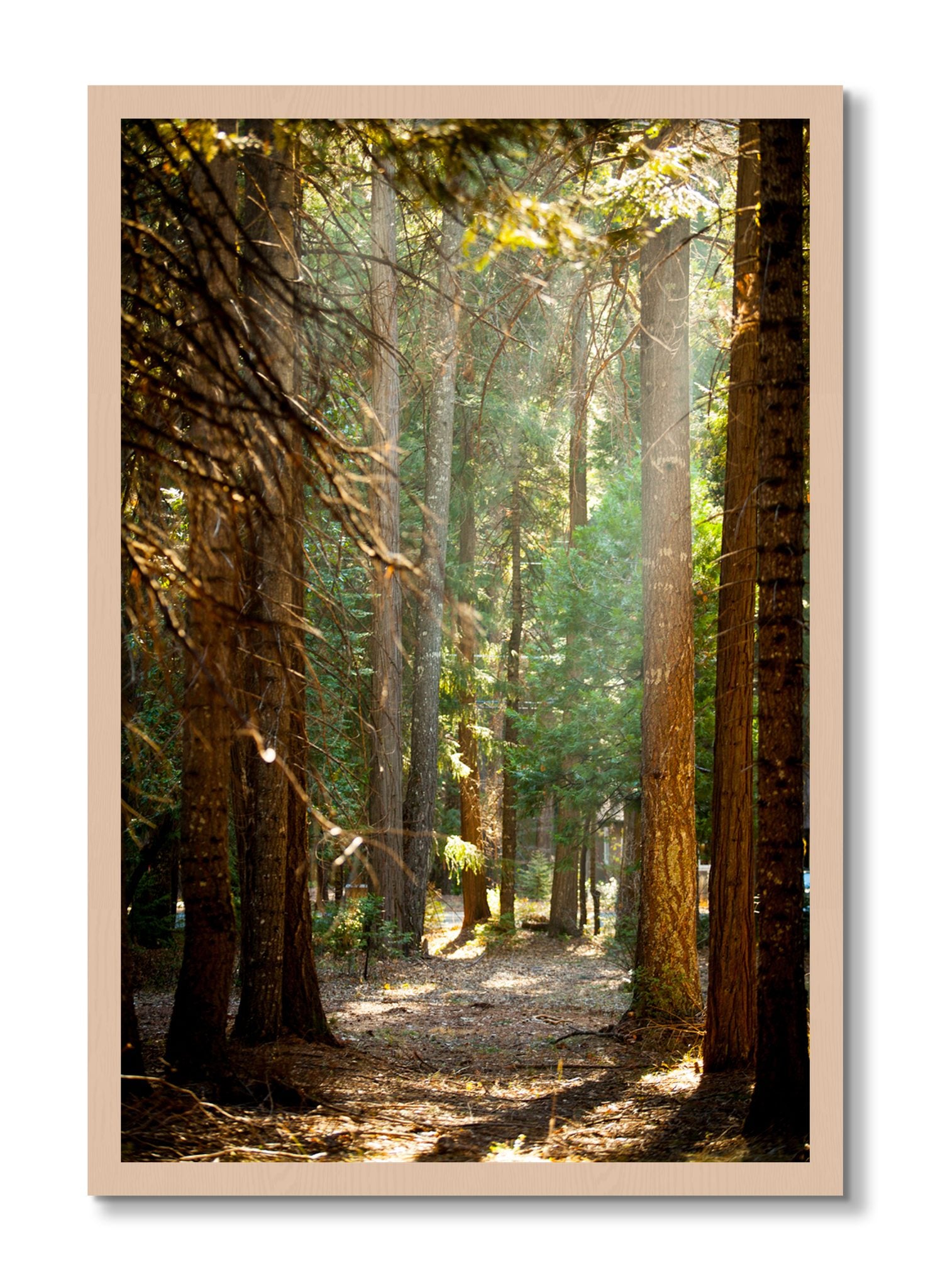 Framed photograph of Autumn by Dylan Ozanich, Maple frame, Full Bleed