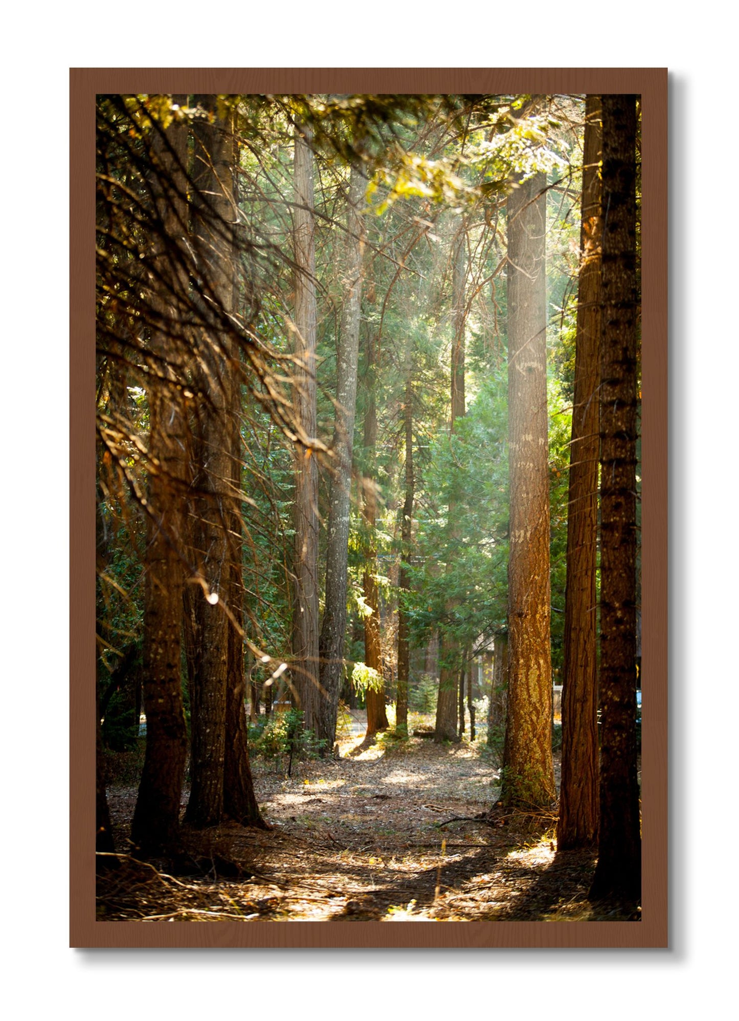 Framed photograph of Autumn by Dylan Ozanich, Walnut frame, Full Bleed