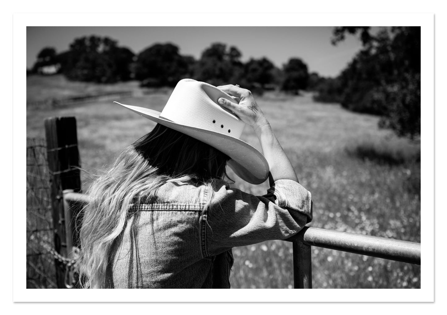 Fine art print of Branded by Dylan Ozanich, unframed