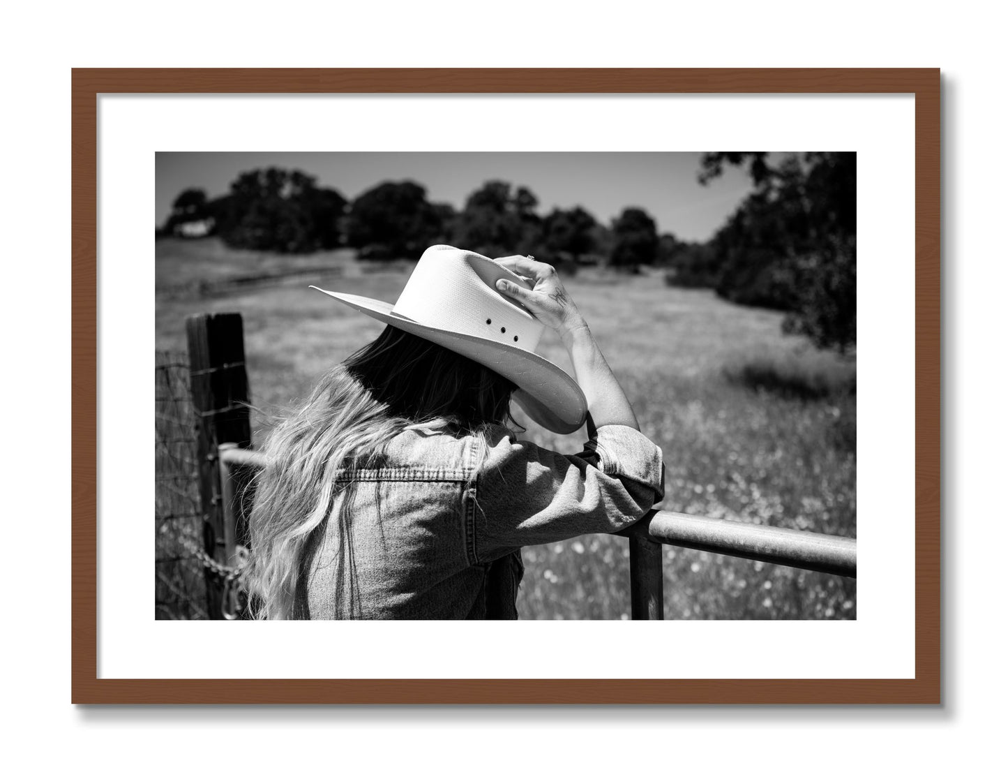 Framed photograph of Branded by Dylan Ozanich, Walnut frame, Borders