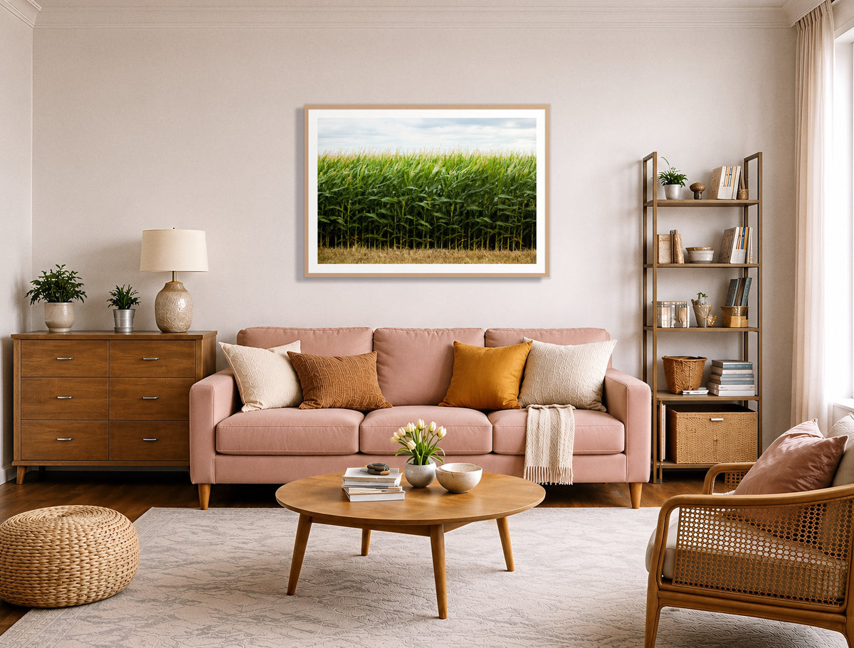 Corn Crop in a room