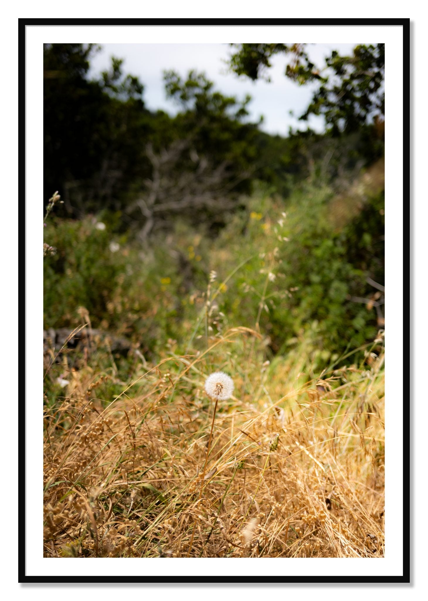Framed photograph of Diamond In The Rough by Dylan Ozanich, Black frame, Borders