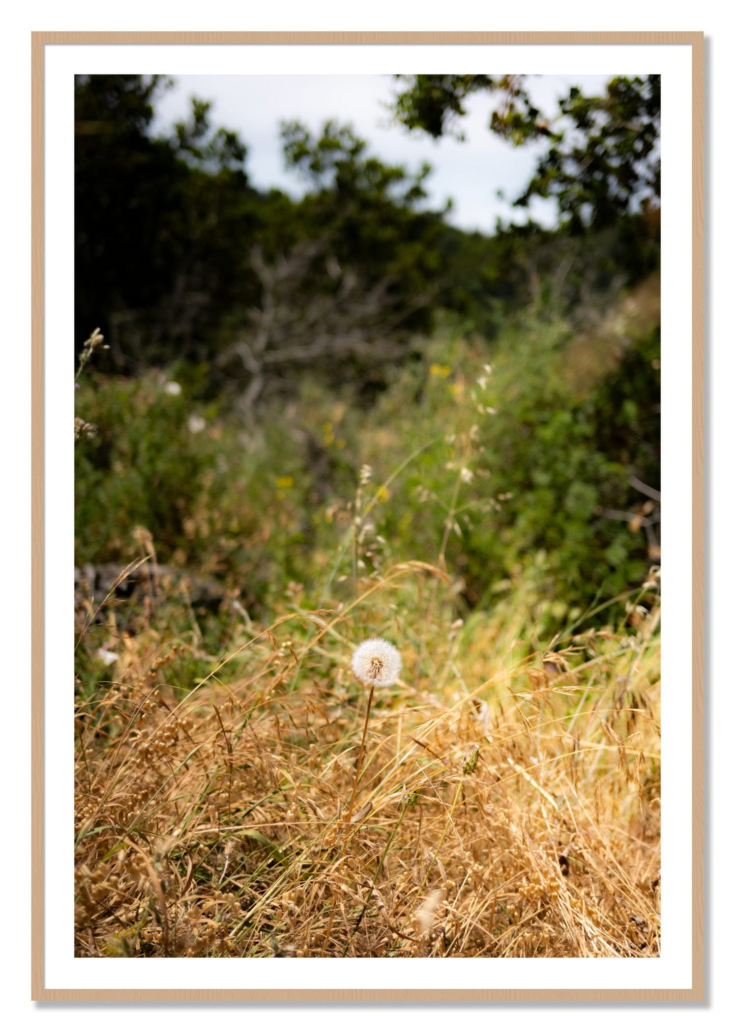 Framed photograph of Diamond In The Rough by Dylan Ozanich, Oak frame, Borders