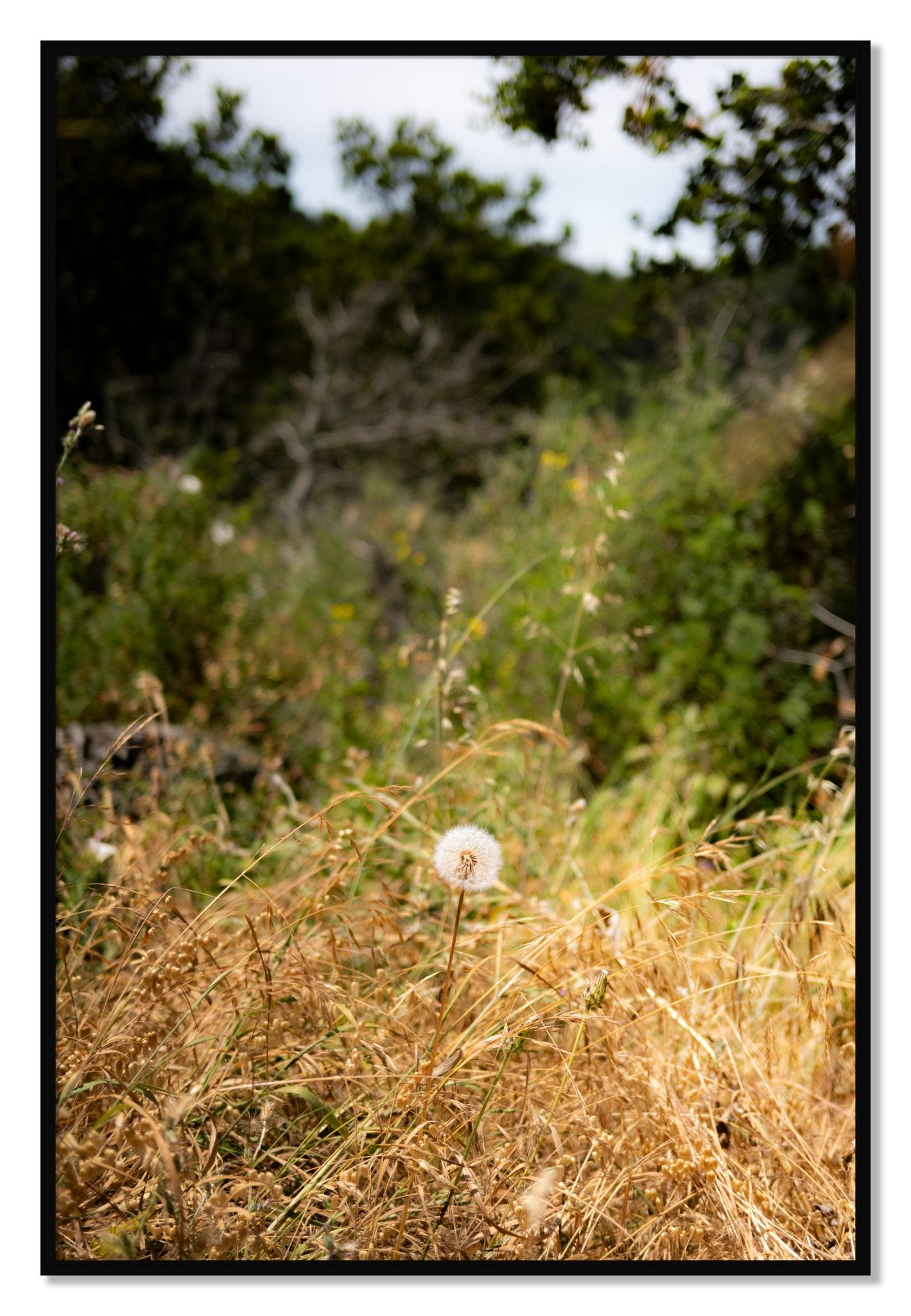 Framed photograph of Diamond In The Rough by Dylan Ozanich, Black frame, Full Bleed