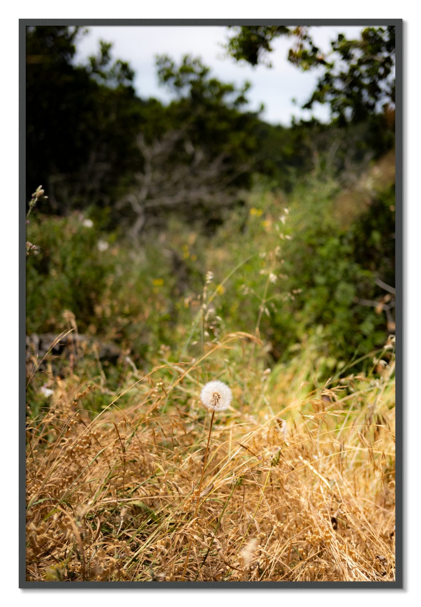 Framed photograph of Diamond In The Rough by Dylan Ozanich, Grey frame, Full Bleed