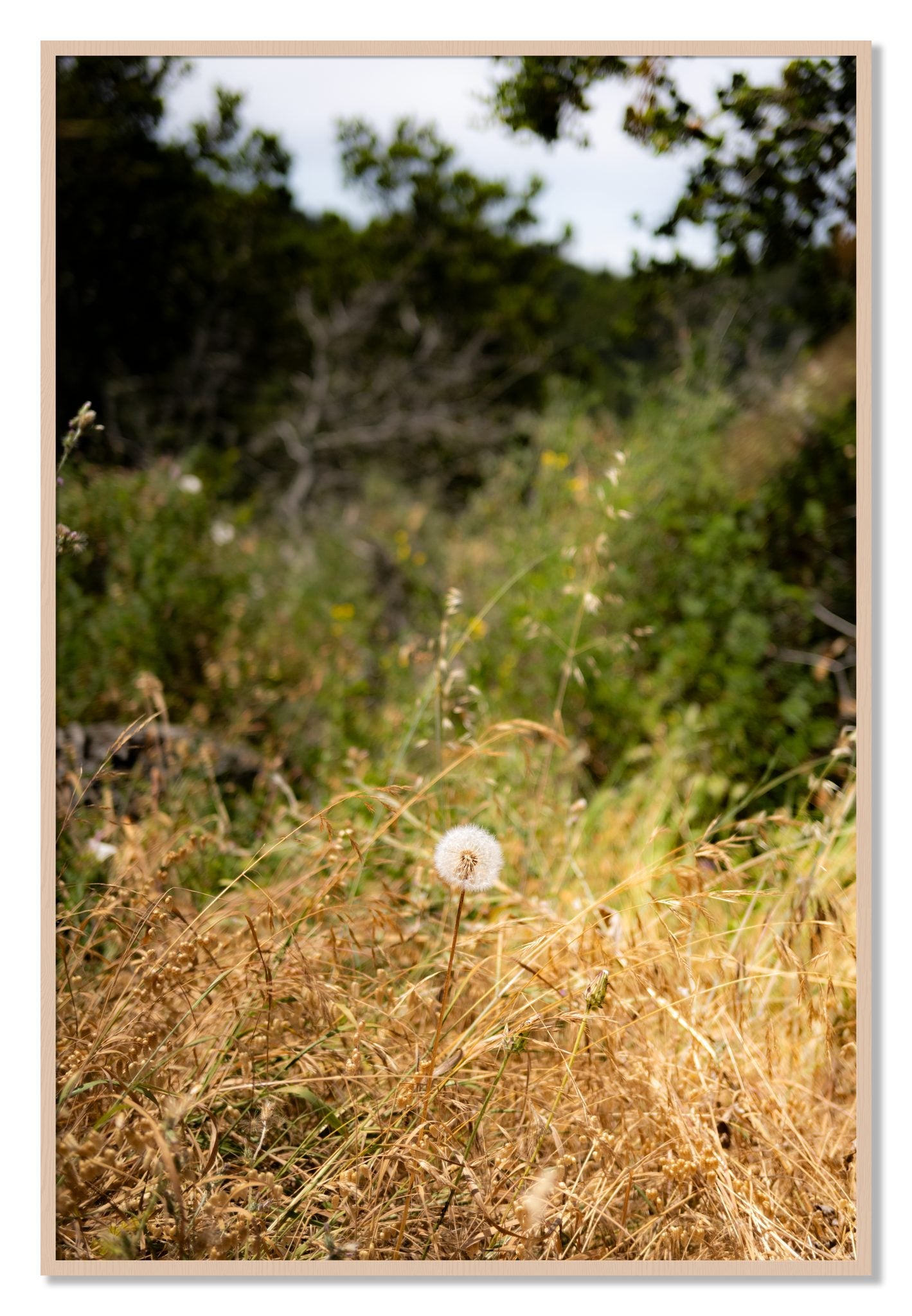 Framed photograph of Diamond In The Rough by Dylan Ozanich, Maple frame, Full Bleed