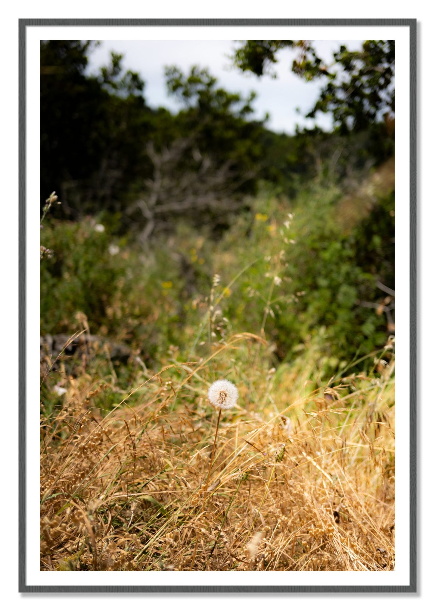Framed photograph of Diamond In The Rough by Dylan Ozanich, Grey frame, Borders