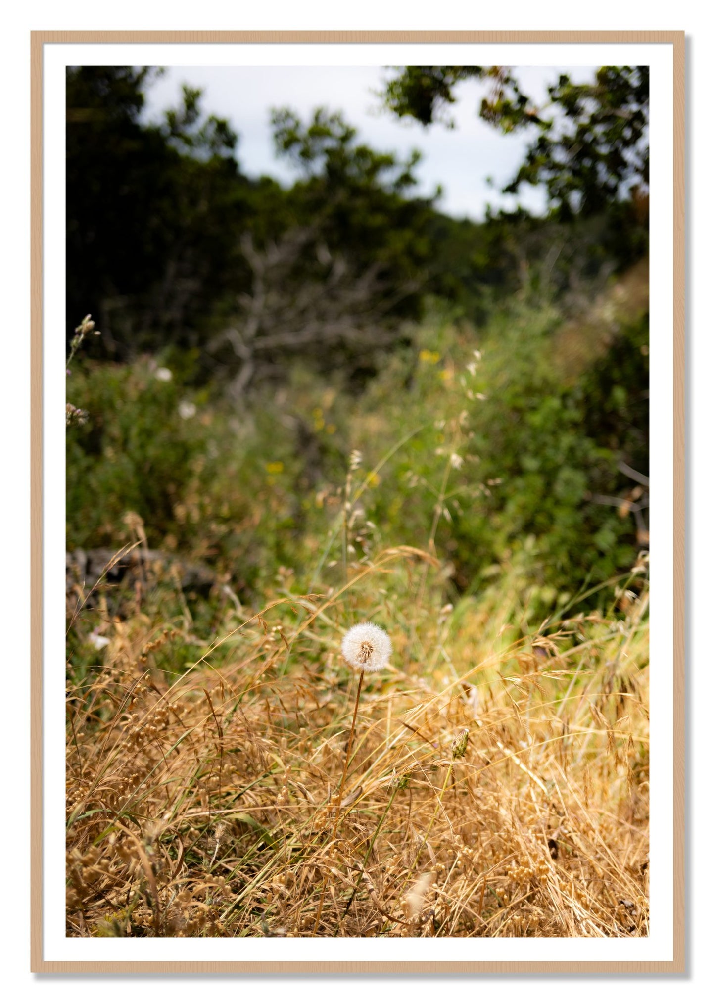 Framed photograph of Diamond In The Rough by Dylan Ozanich, Oak frame, Borders