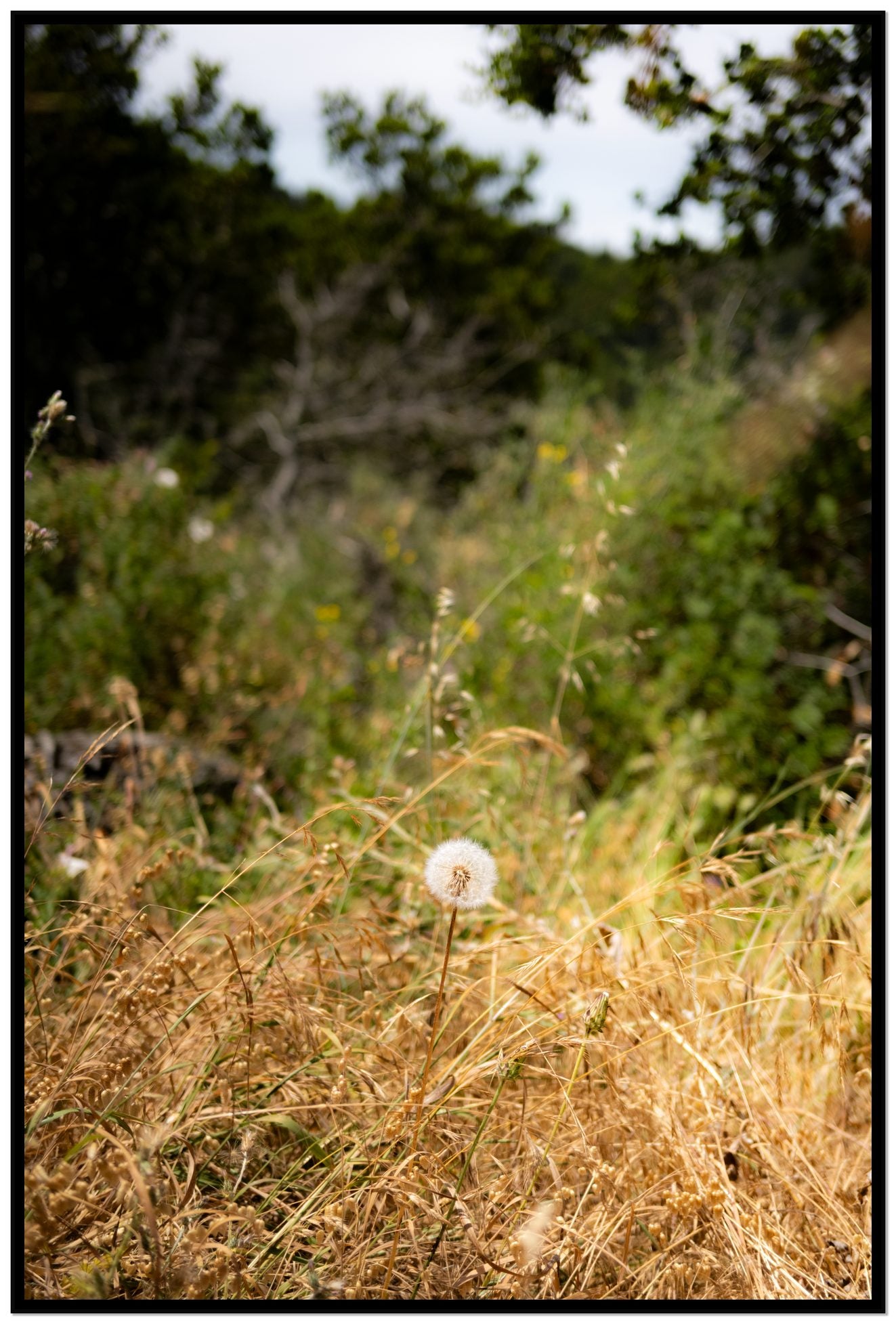 Framed photograph of Diamond In The Rough by Dylan Ozanich, Black frame, Full Bleed