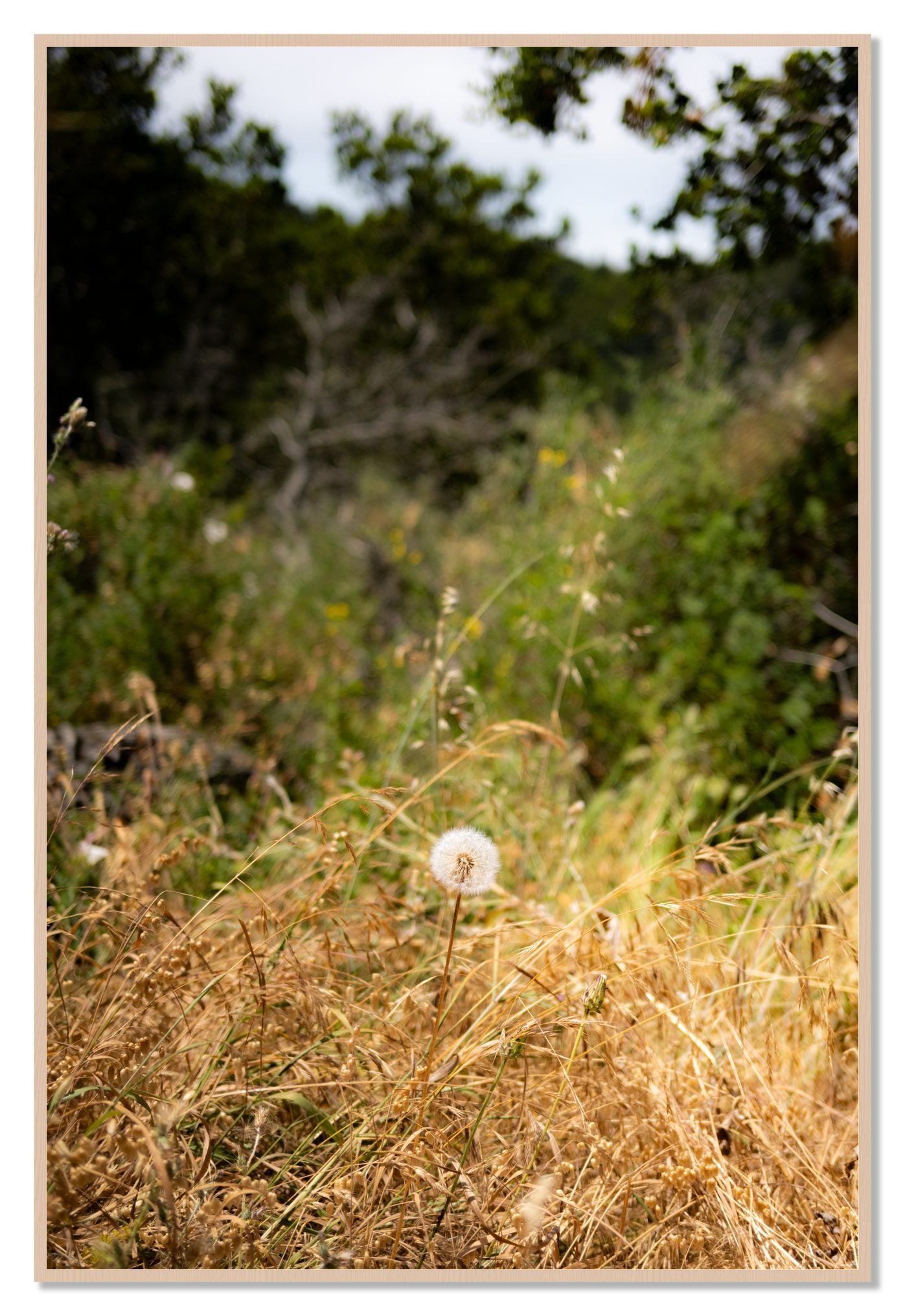 Framed photograph of Diamond In The Rough by Dylan Ozanich, Maple frame, Full Bleed