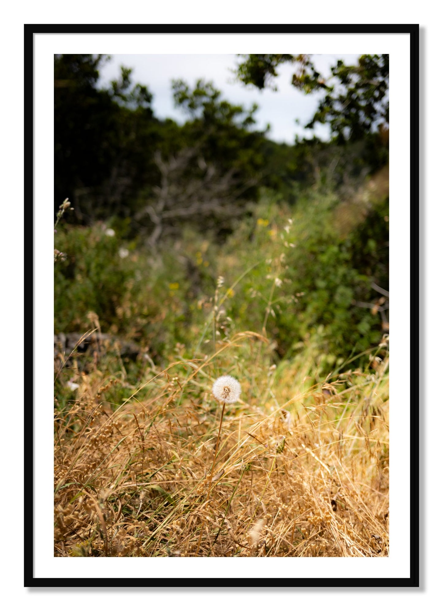 Framed photograph of Diamond In The Rough by Dylan Ozanich, Black frame, Borders