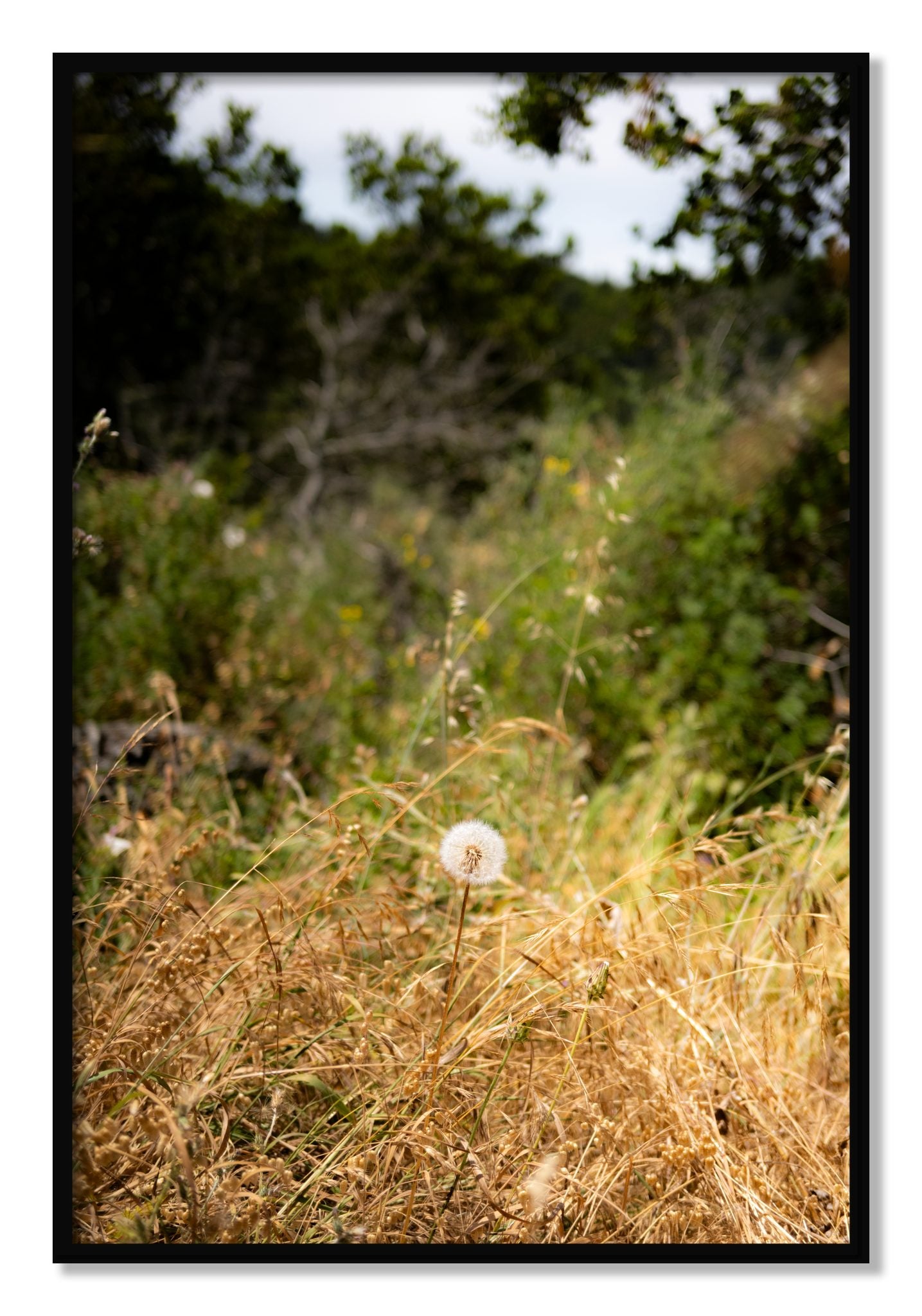 Framed photograph of Diamond In The Rough by Dylan Ozanich, Black frame, Full Bleed