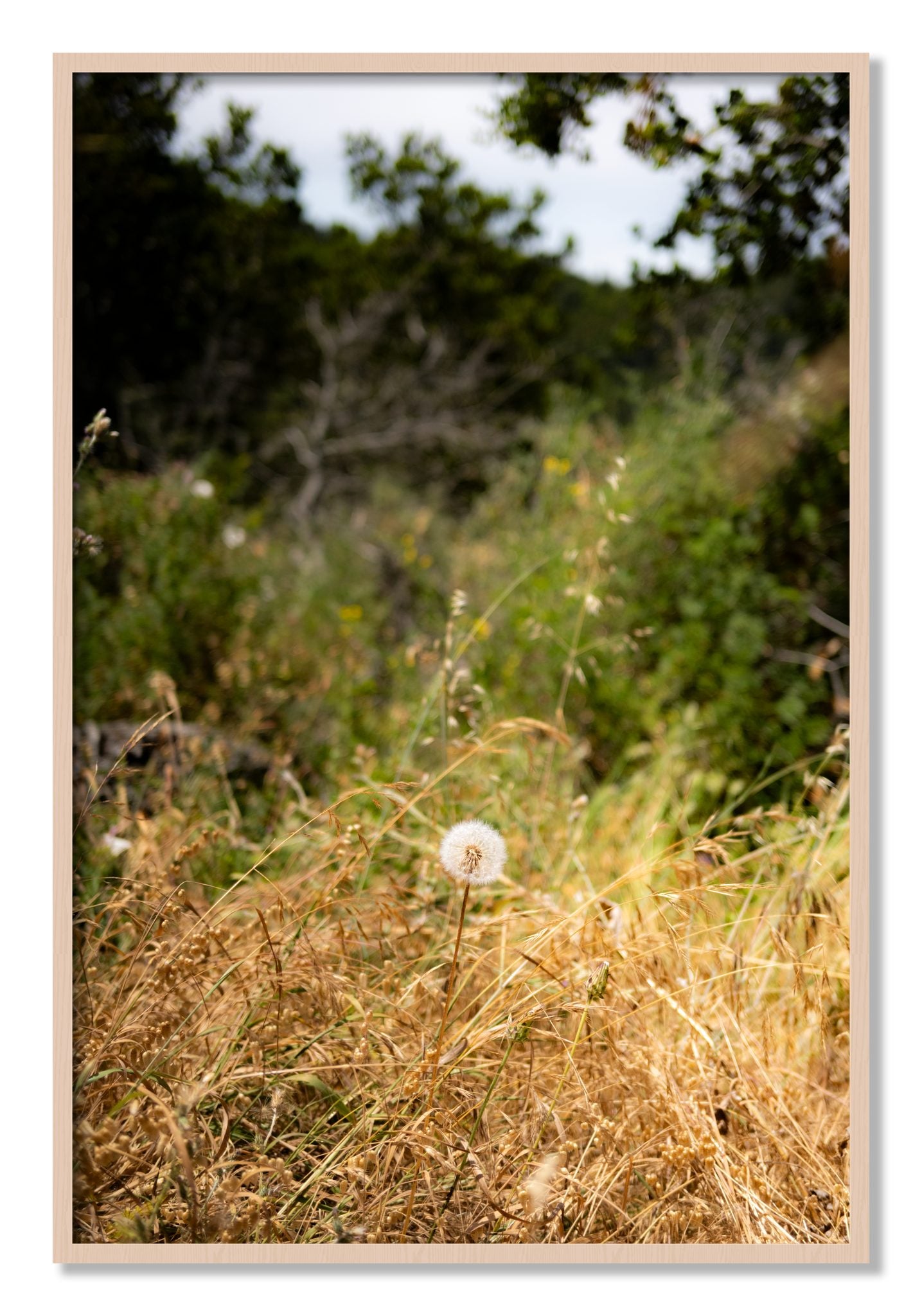 Framed photograph of Diamond In The Rough by Dylan Ozanich, Maple frame, Full Bleed