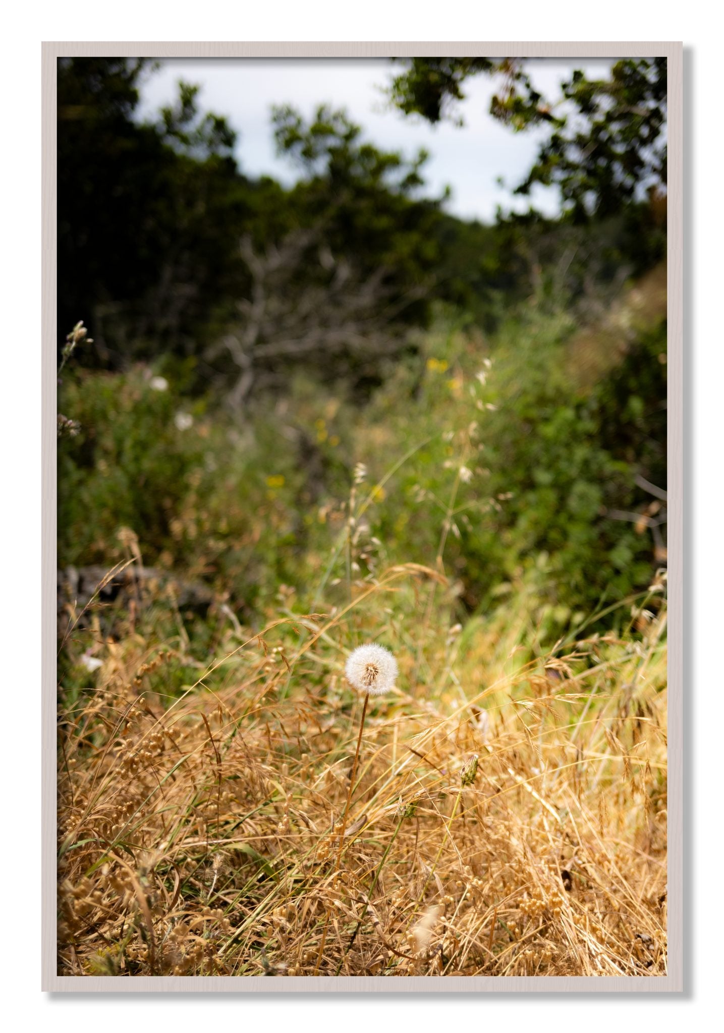 Framed photograph of Diamond In The Rough by Dylan Ozanich, White Maple frame, Full Bleed