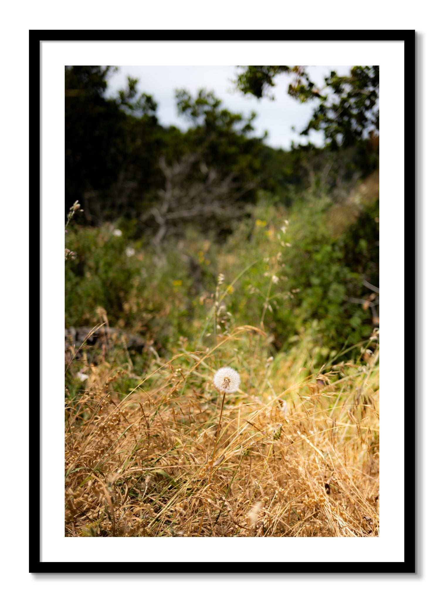 Framed photograph of Diamond In The Rough by Dylan Ozanich, Black frame, Borders