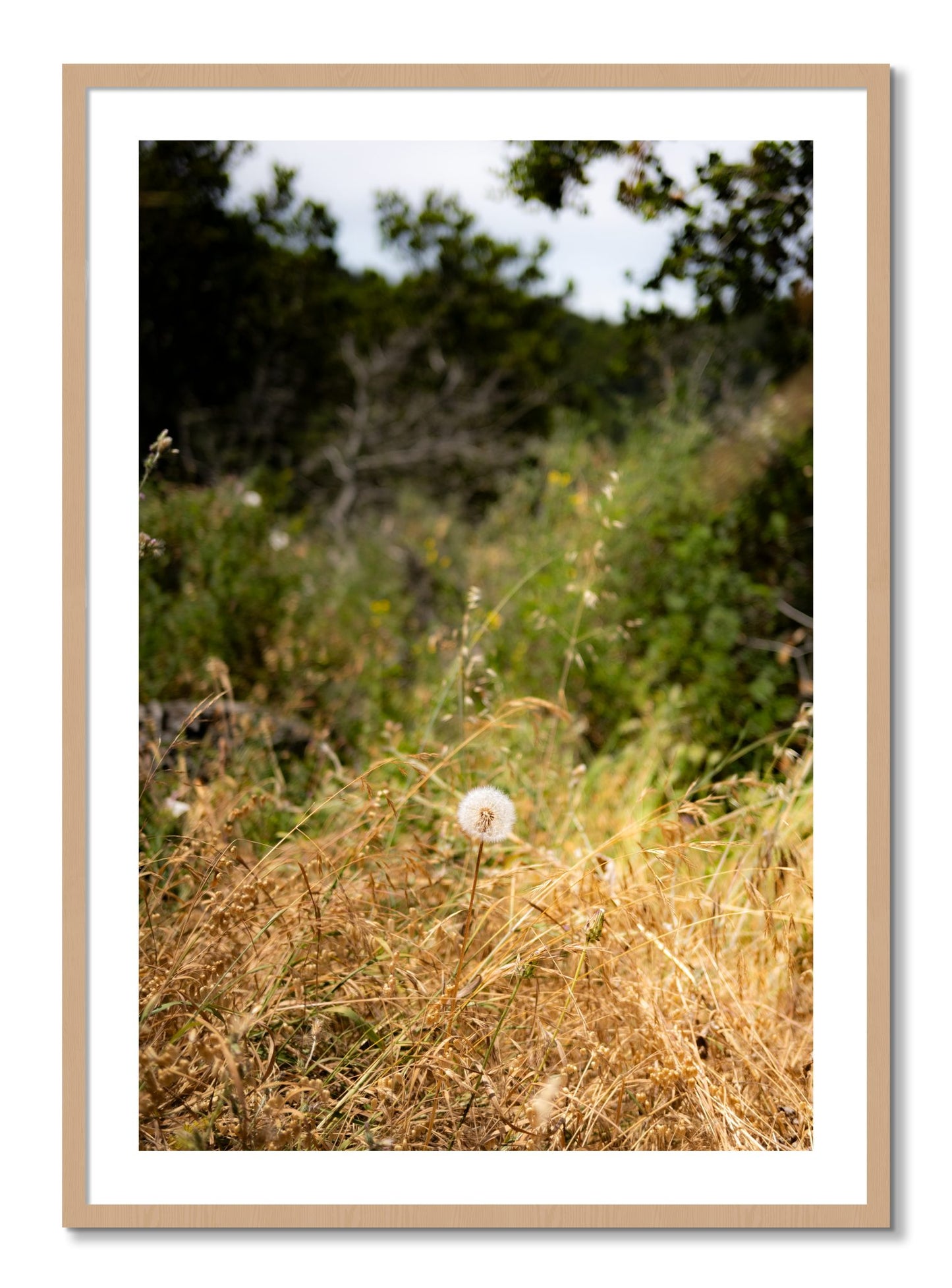 Framed photograph of Diamond In The Rough by Dylan Ozanich, Oak frame, Borders
