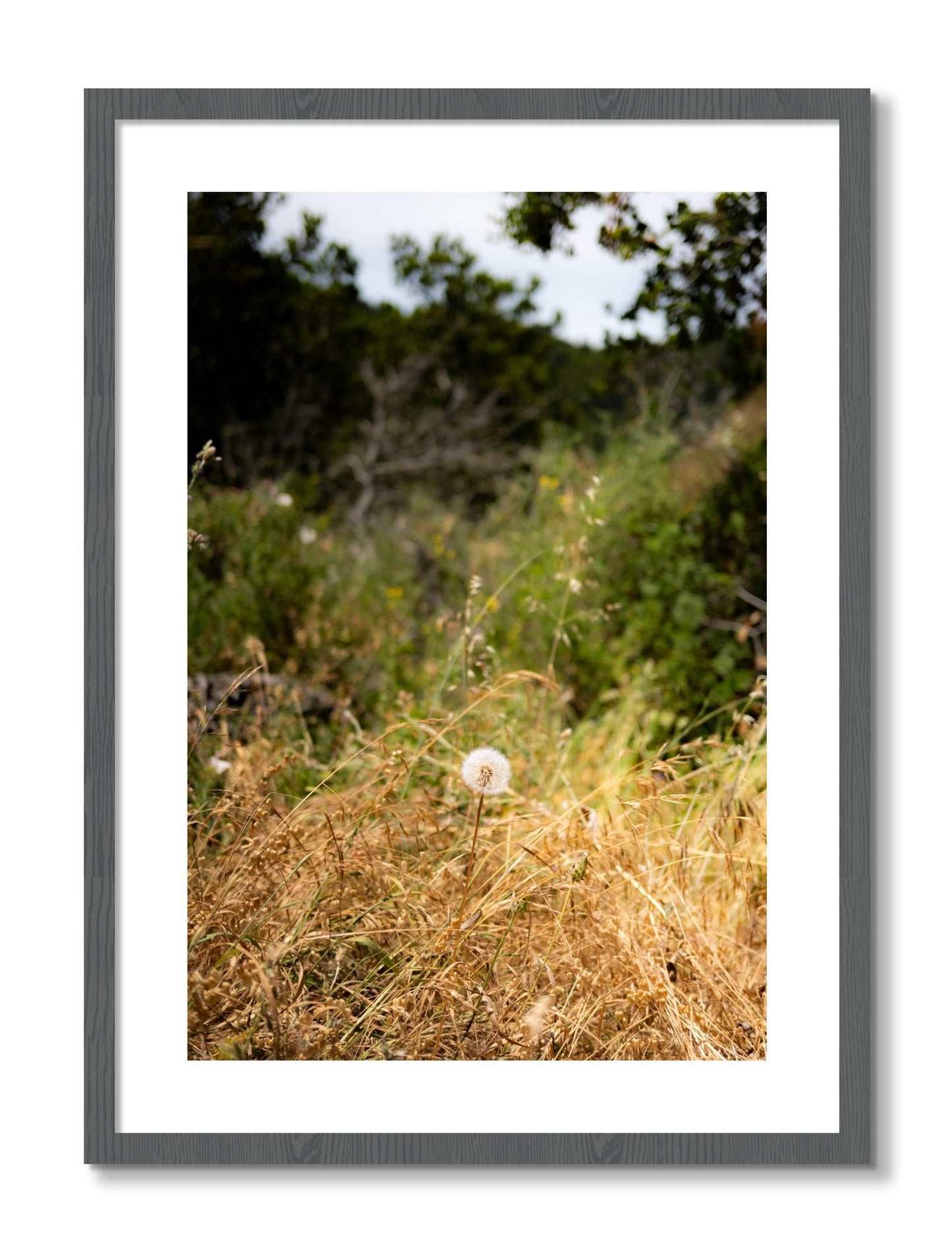 Framed photograph of Diamond In The Rough by Dylan Ozanich, Grey frame, Borders