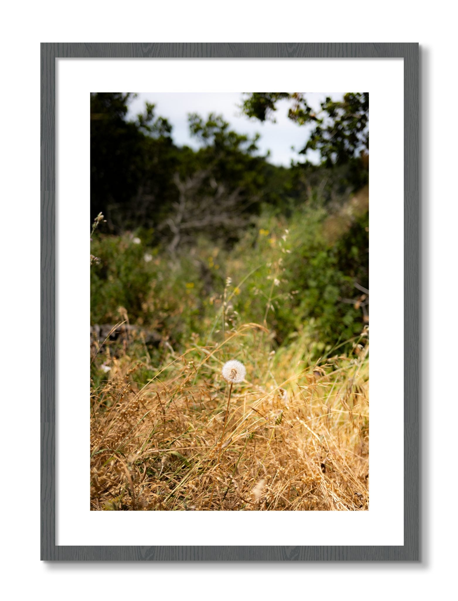 Framed photograph of Diamond In The Rough by Dylan Ozanich, Grey frame, Borders