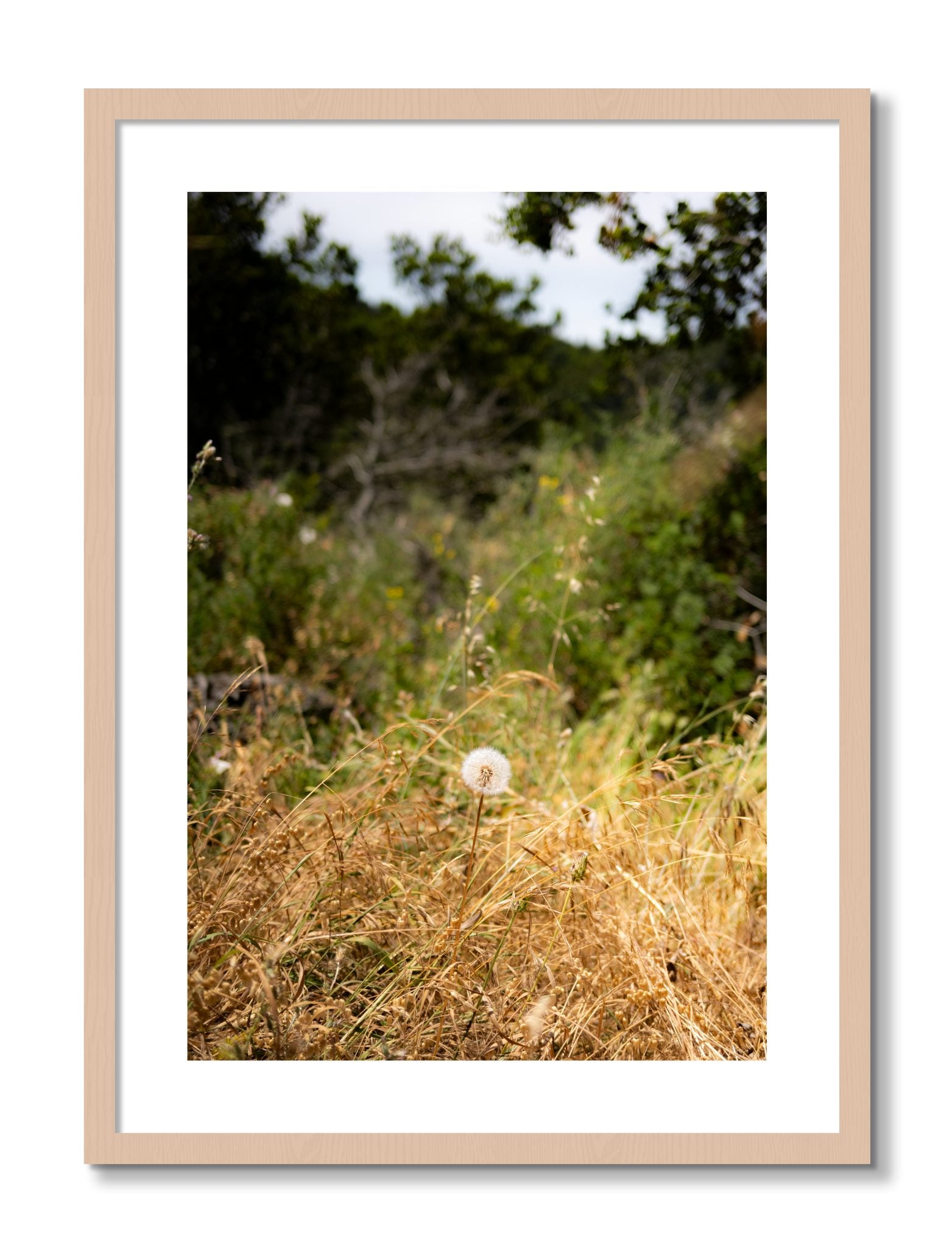 Framed photograph of Diamond In The Rough by Dylan Ozanich, Maple frame, Borders