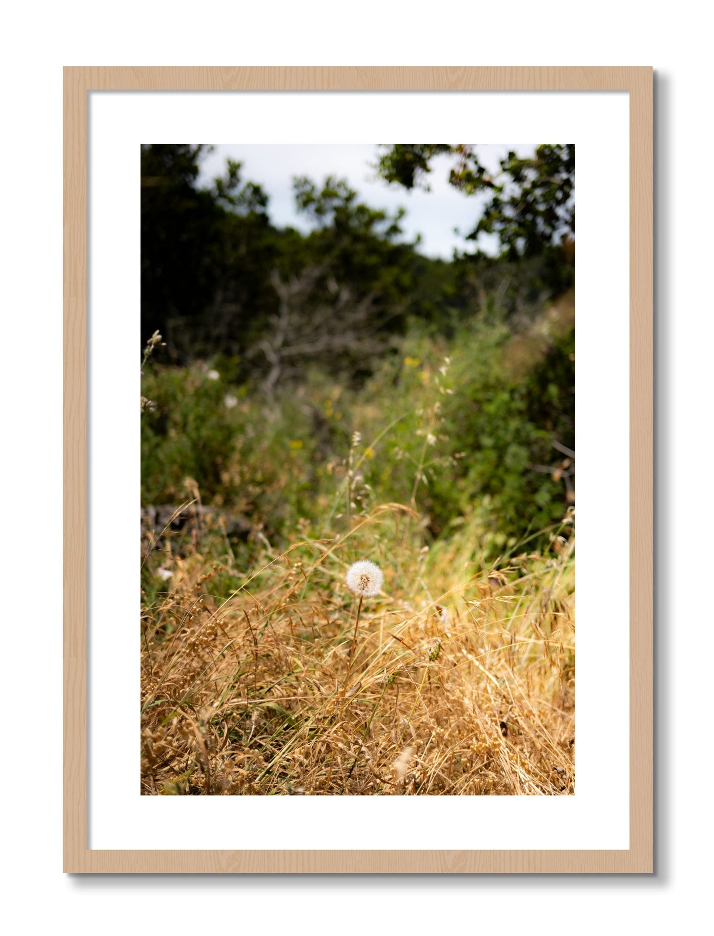 Framed photograph of Diamond In The Rough by Dylan Ozanich, Oak frame, Borders
