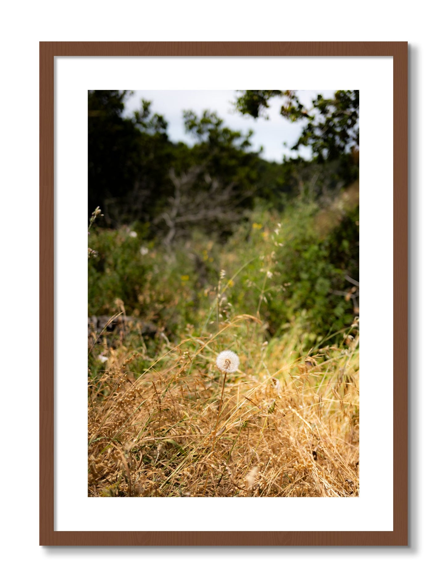 Framed photograph of Diamond In The Rough by Dylan Ozanich, Walnut frame, Borders