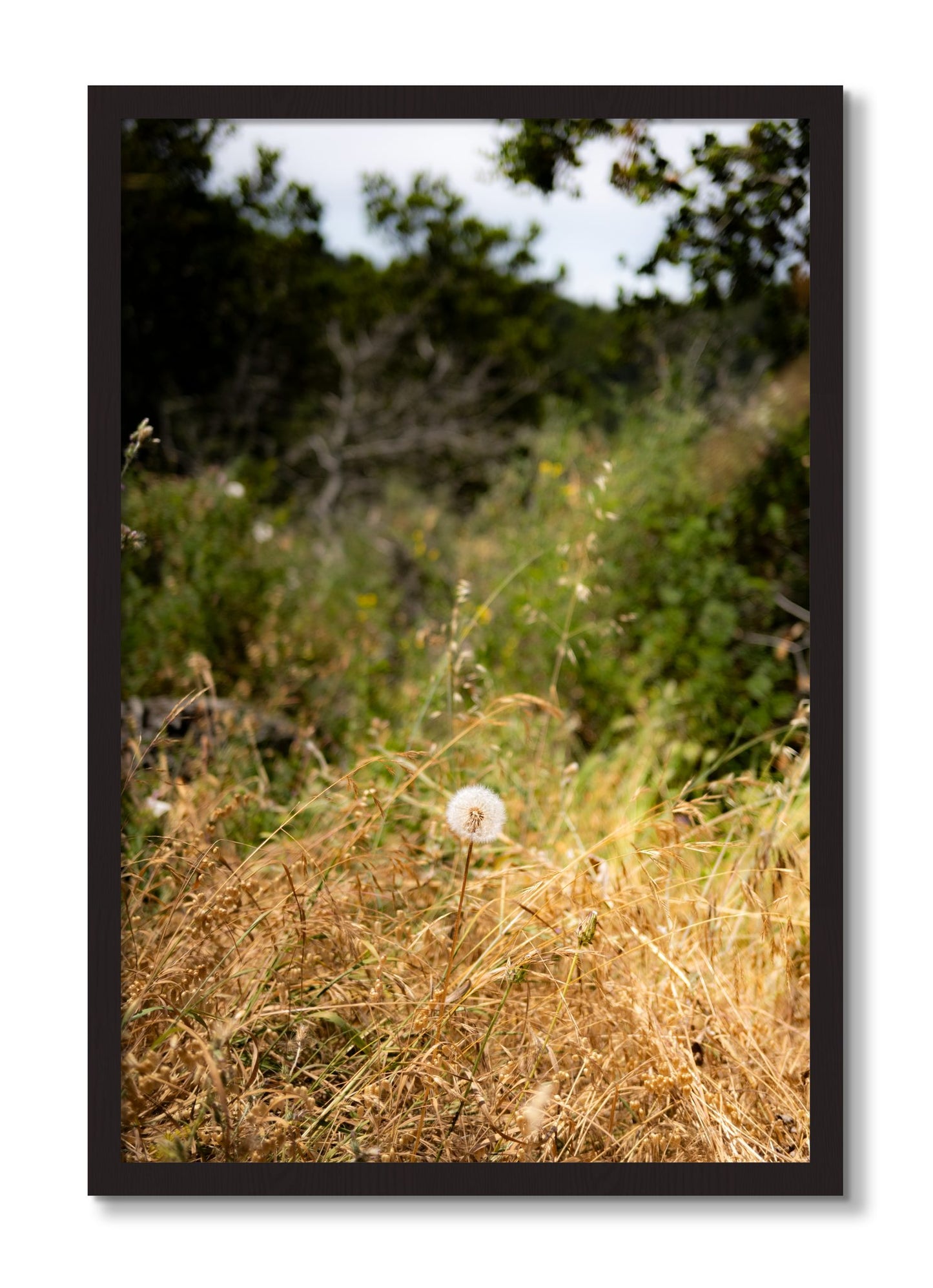 Framed photograph of Diamond In The Rough by Dylan Ozanich, Black Walnut frame, Full Bleed