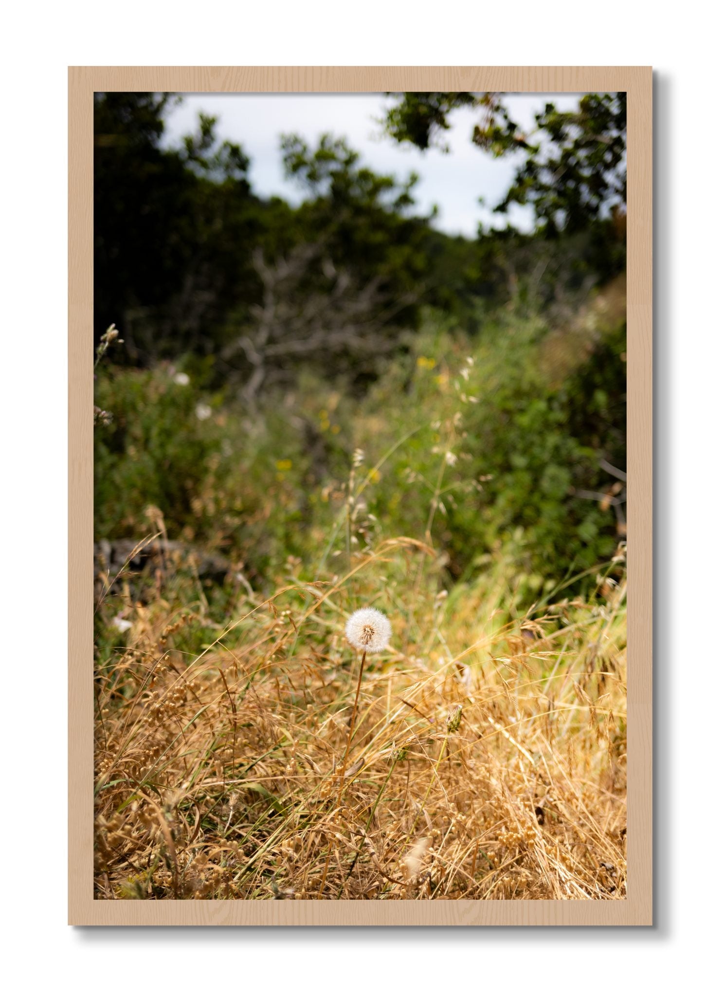 Framed photograph of Diamond In The Rough by Dylan Ozanich, Oak frame, Full Bleed