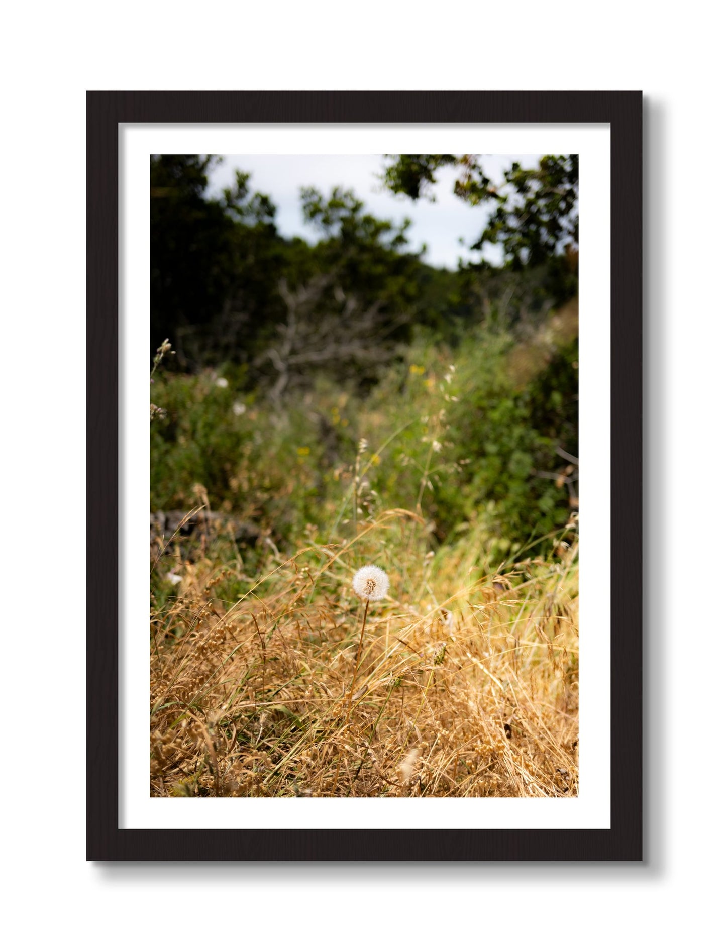 Framed photograph of Diamond In The Rough by Dylan Ozanich, Black frame, Borders