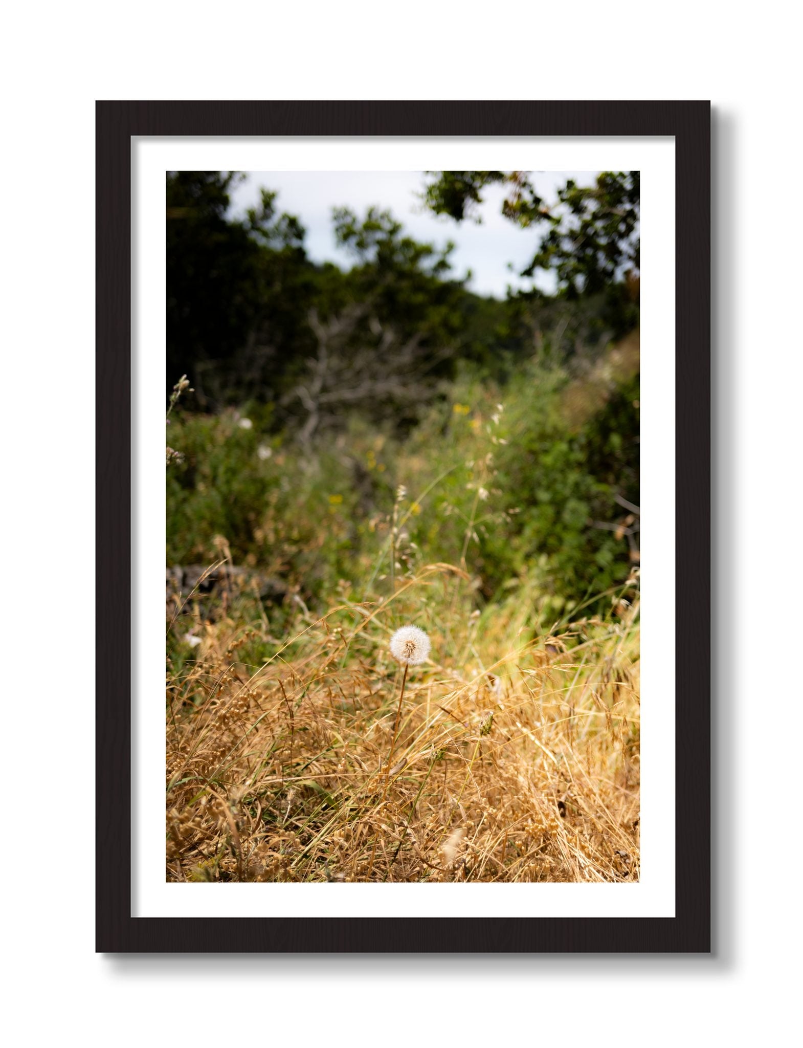 Framed photograph of Diamond In The Rough by Dylan Ozanich, Black frame, Borders