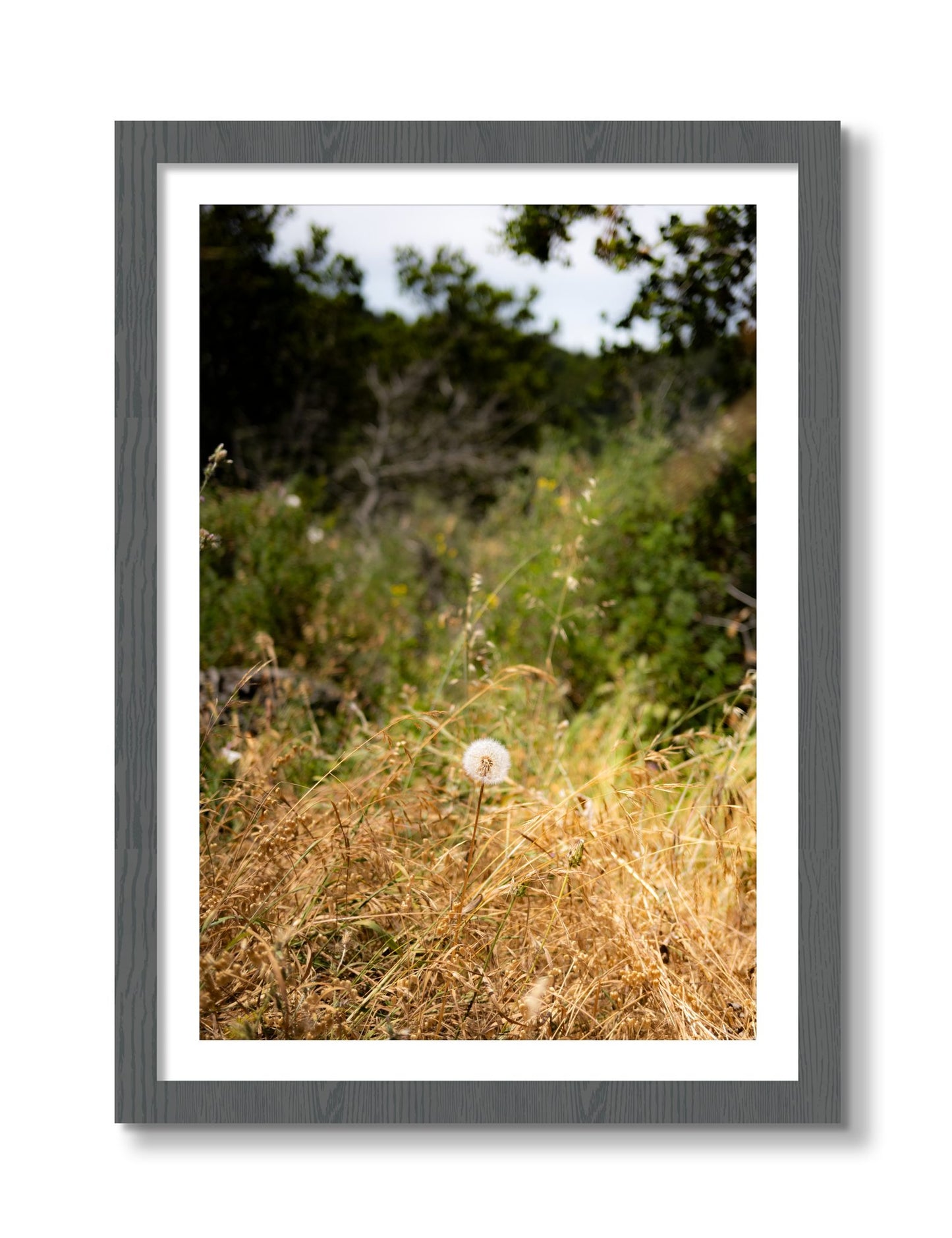 Framed photograph of Diamond In The Rough by Dylan Ozanich, Grey frame, Borders