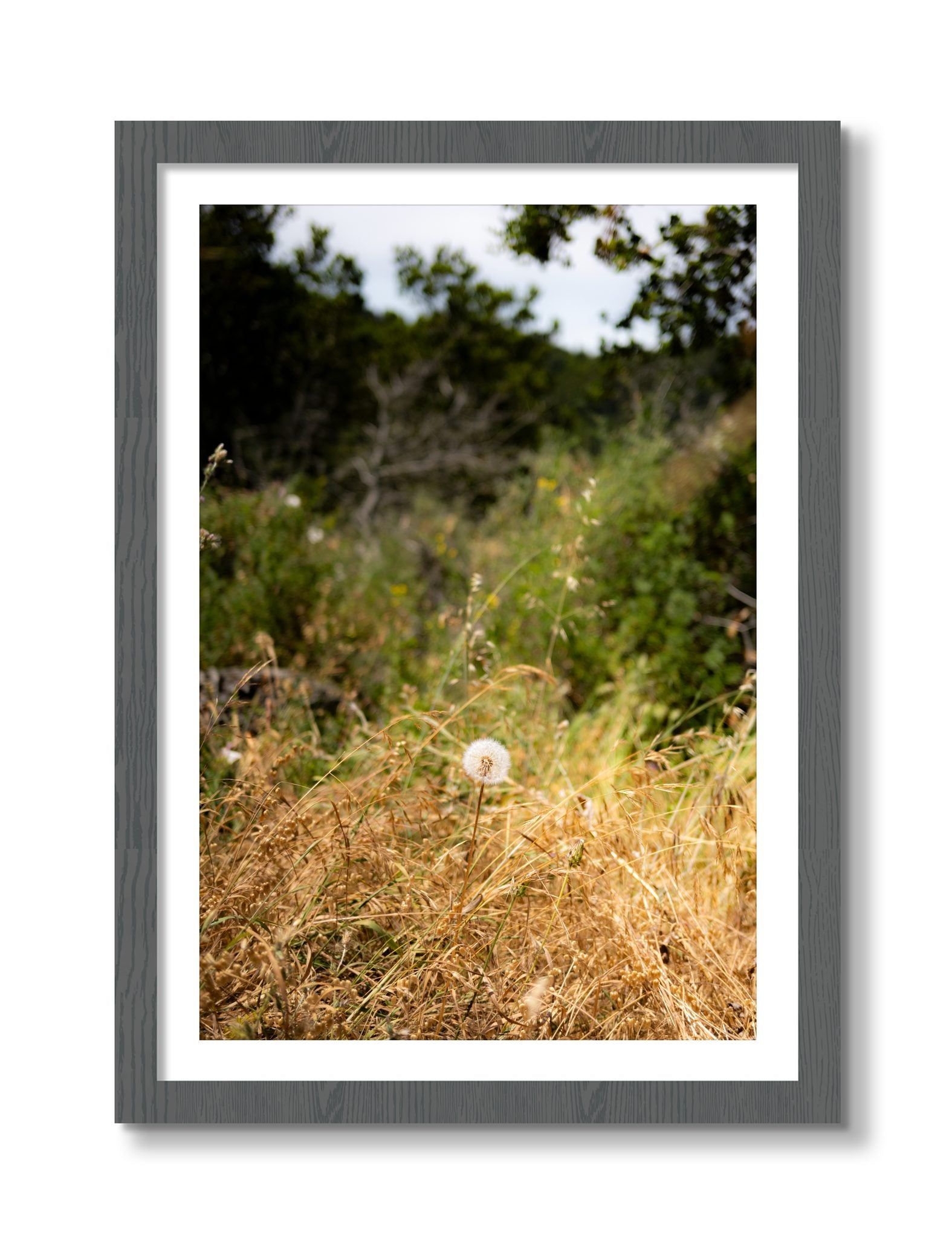 Framed photograph of Diamond In The Rough by Dylan Ozanich, Grey frame, Borders