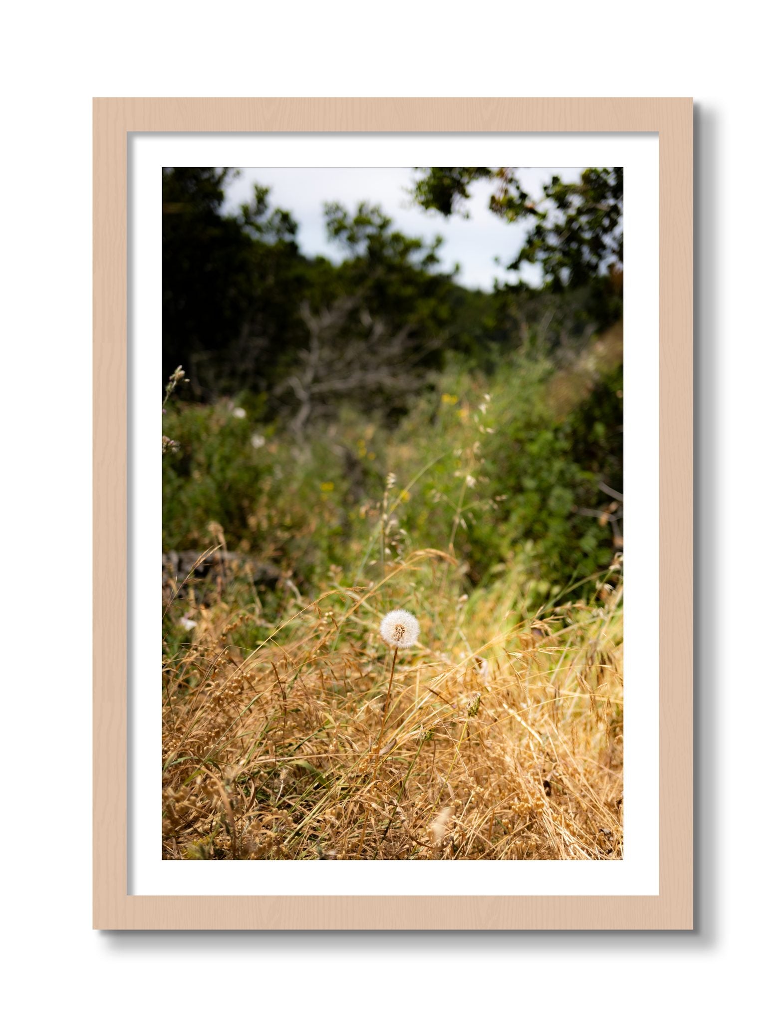 Framed photograph of Diamond In The Rough by Dylan Ozanich, Maple frame, Borders
