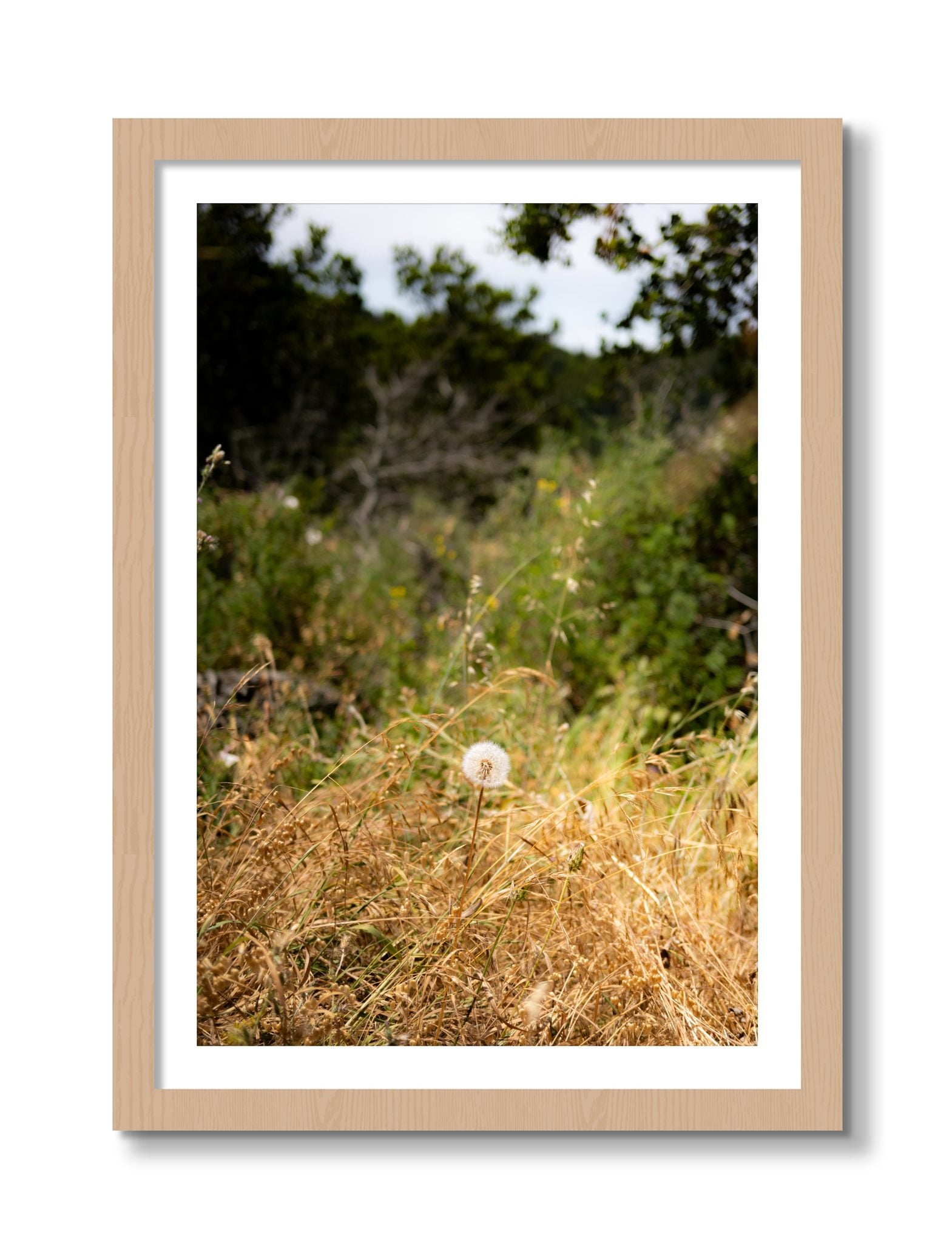 Framed photograph of Diamond In The Rough by Dylan Ozanich, Oak frame, Borders