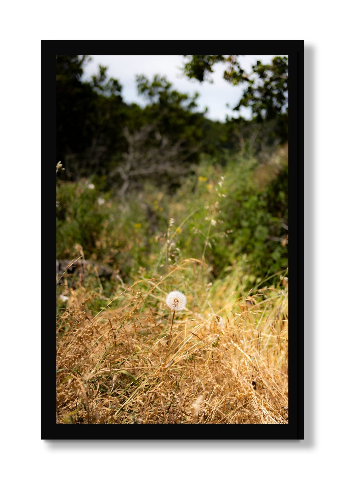 Framed photograph of Diamond In The Rough by Dylan Ozanich, Black frame, Full Bleed