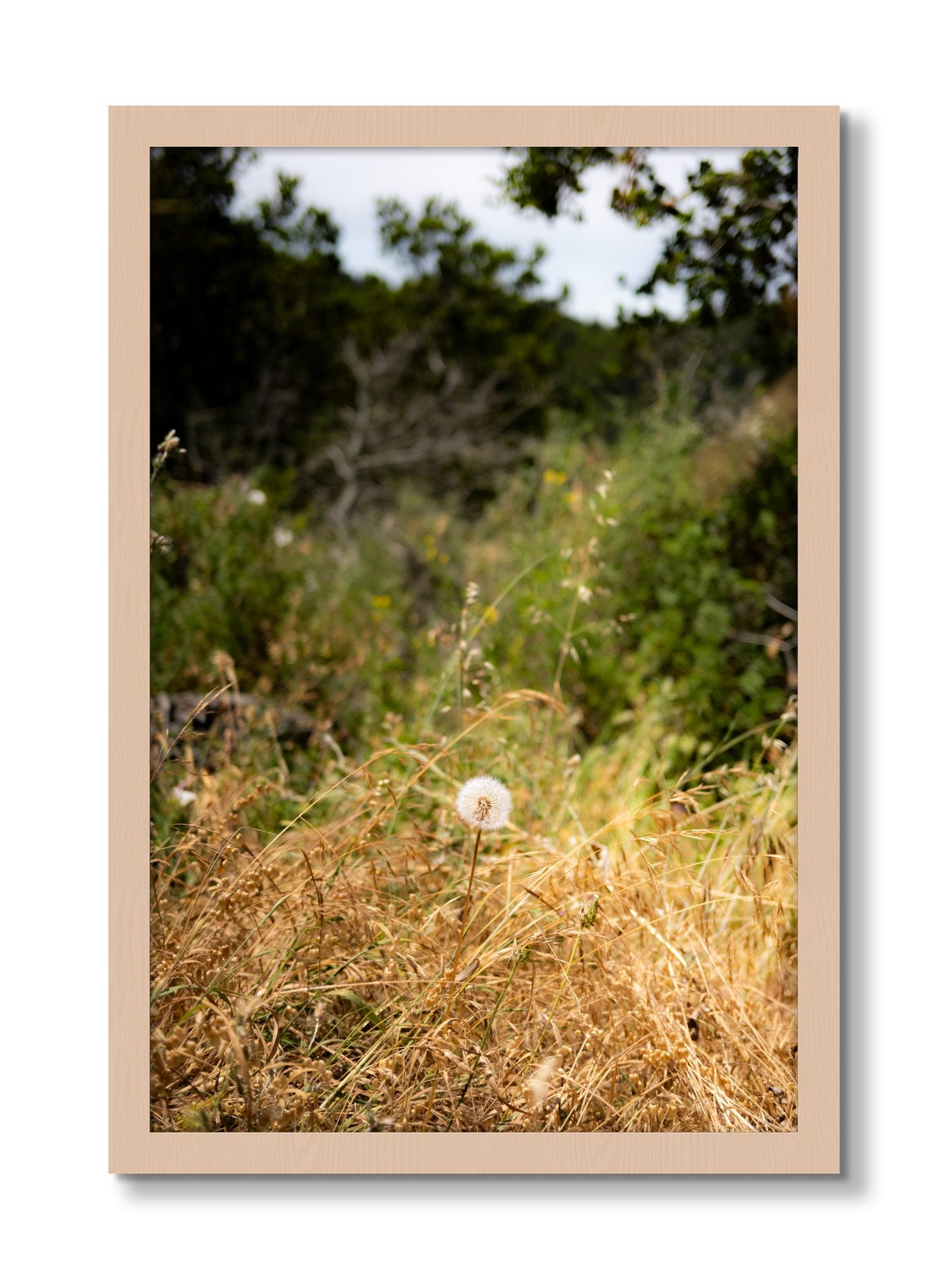 Framed photograph of Diamond In The Rough by Dylan Ozanich, Maple frame, Full Bleed