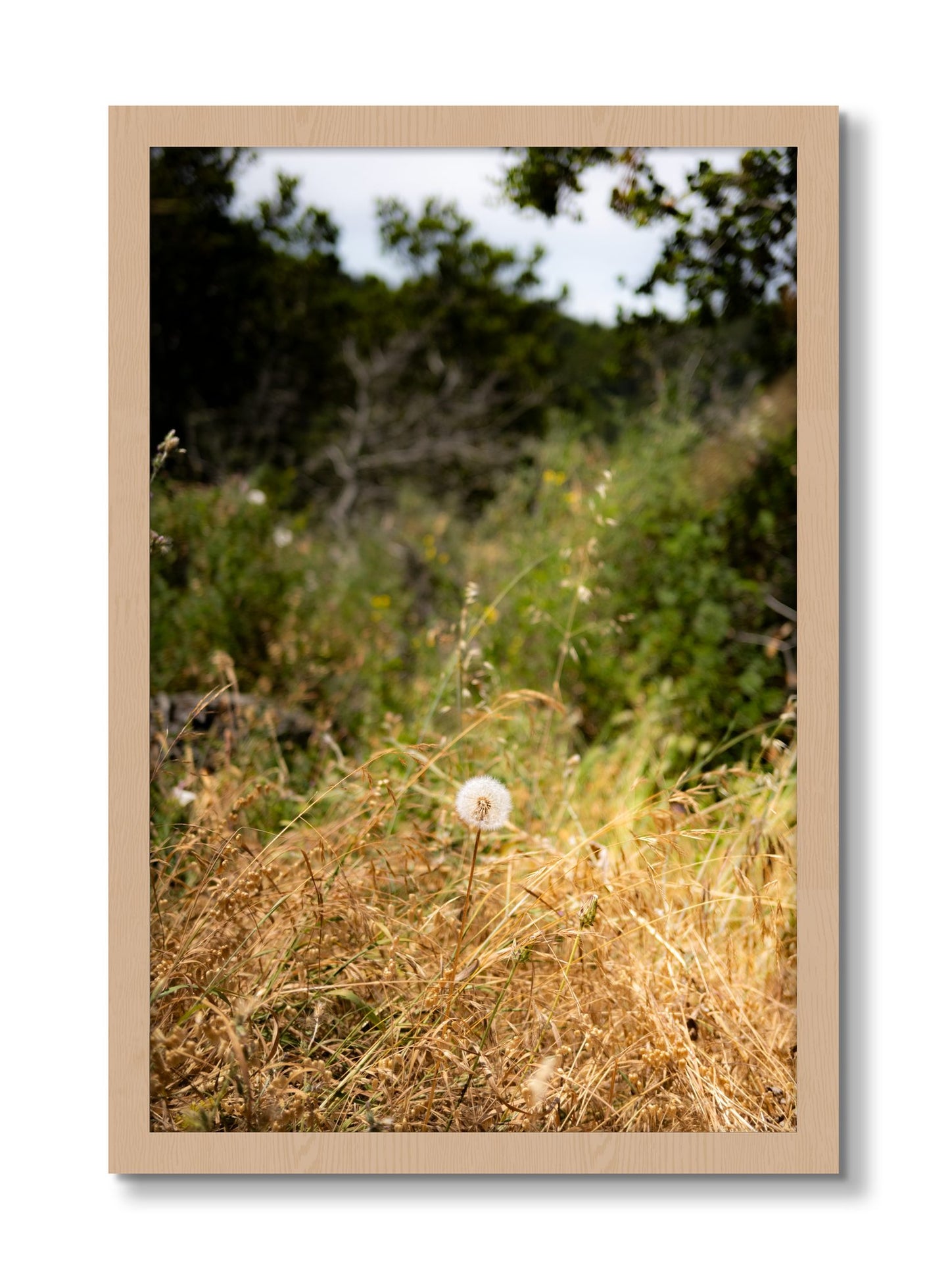 Framed photograph of Diamond In The Rough by Dylan Ozanich, Oak frame, Full Bleed