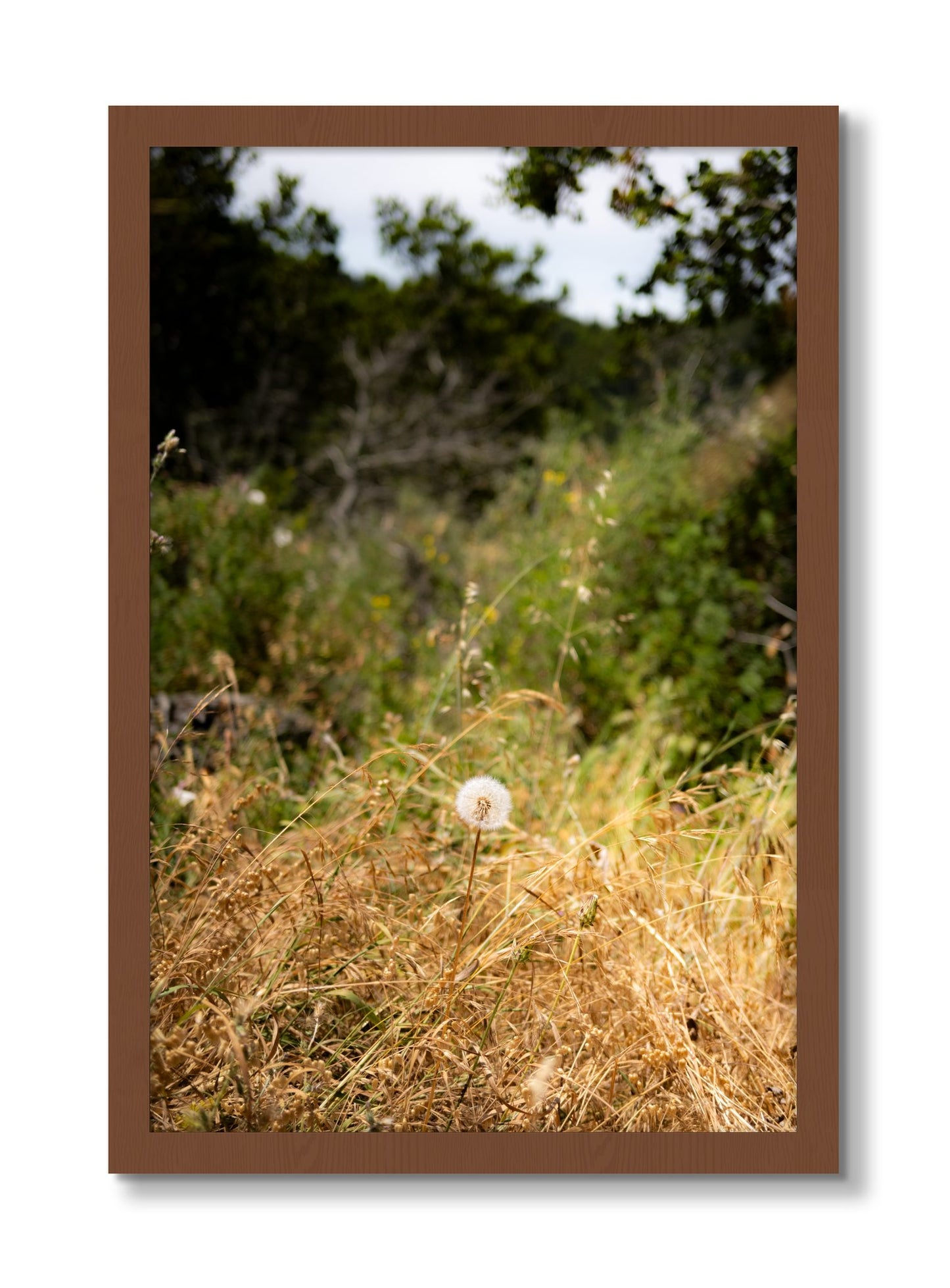 Framed photograph of Diamond In The Rough by Dylan Ozanich, Walnut frame, Full Bleed
